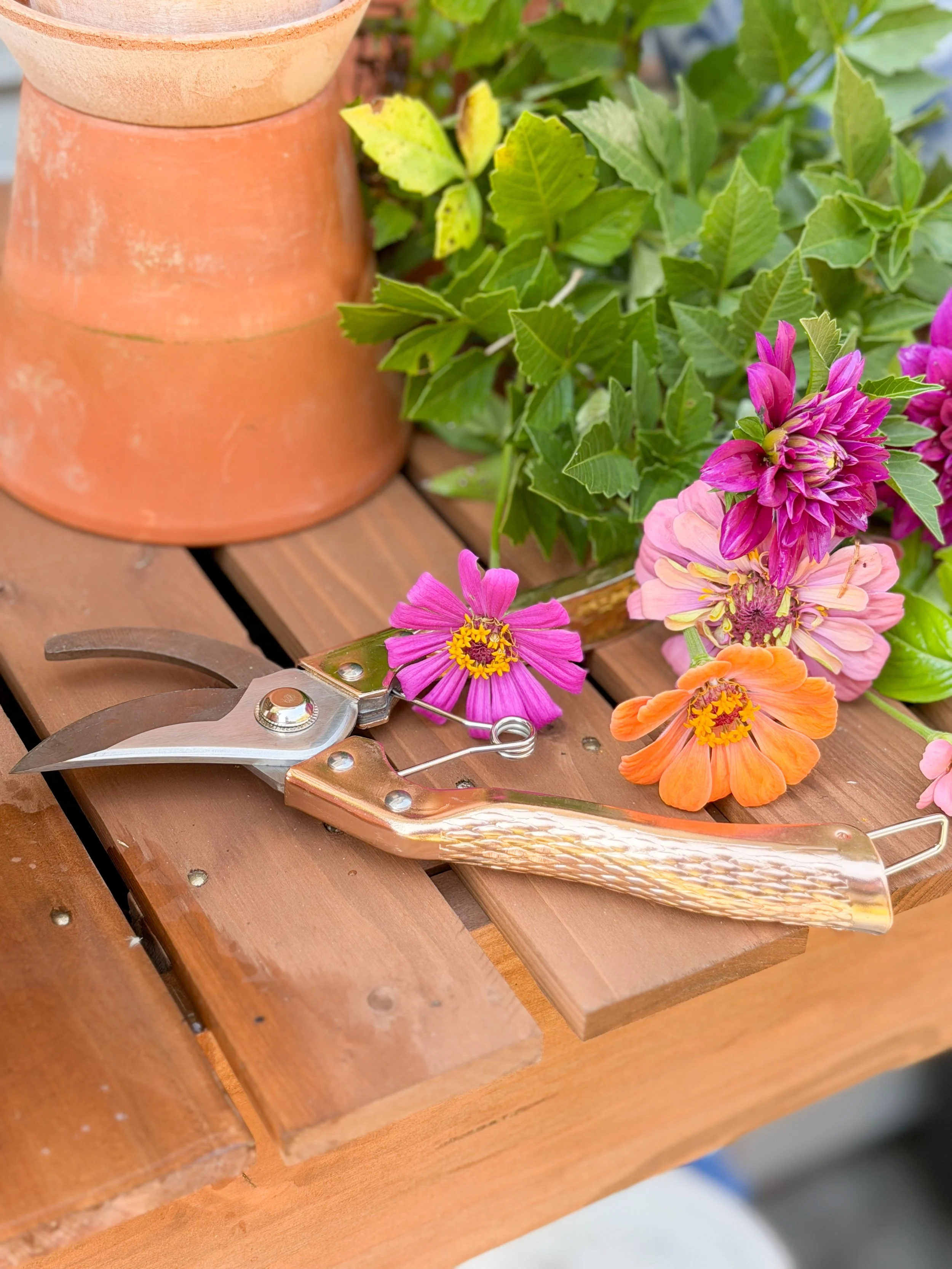 Copper Shears