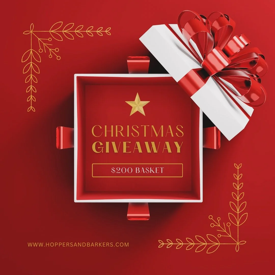 🎅🎄✨ Ho Ho Ho! The Most Wonderful Time of the Year is Almost Here!!!
We’re just five weeks away from stepping into a winter wonderland at the Eleven Eleven Events Holiday Market, happening Sunday, November 16th at the Hellenic Community Centr