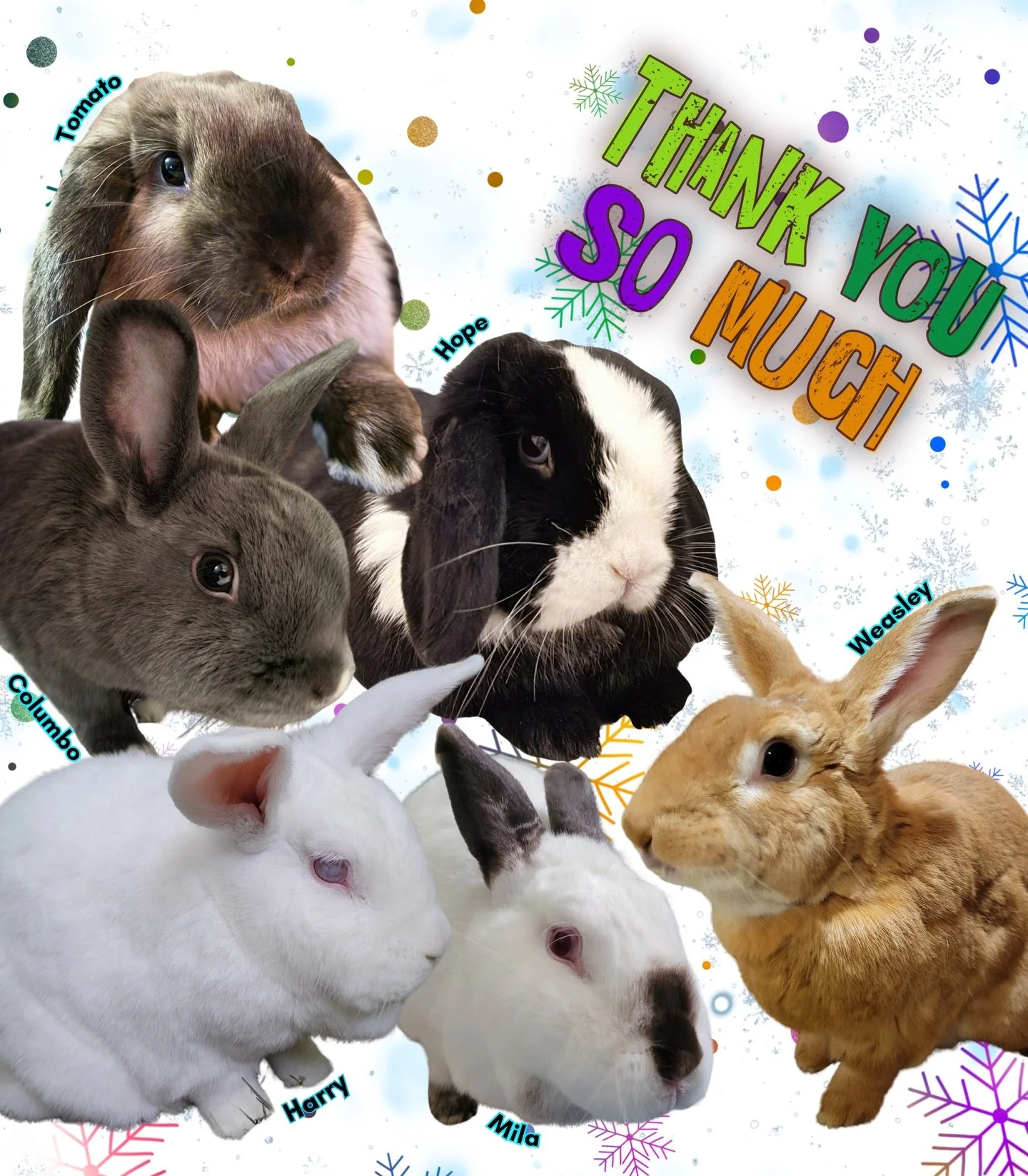 I just want to take a moment to say a sincere thank you to all of my clients who have been so patient with your orders and my responses. Your understanding during this time has touched me more than I can put into words.

Life has a way of throwing un