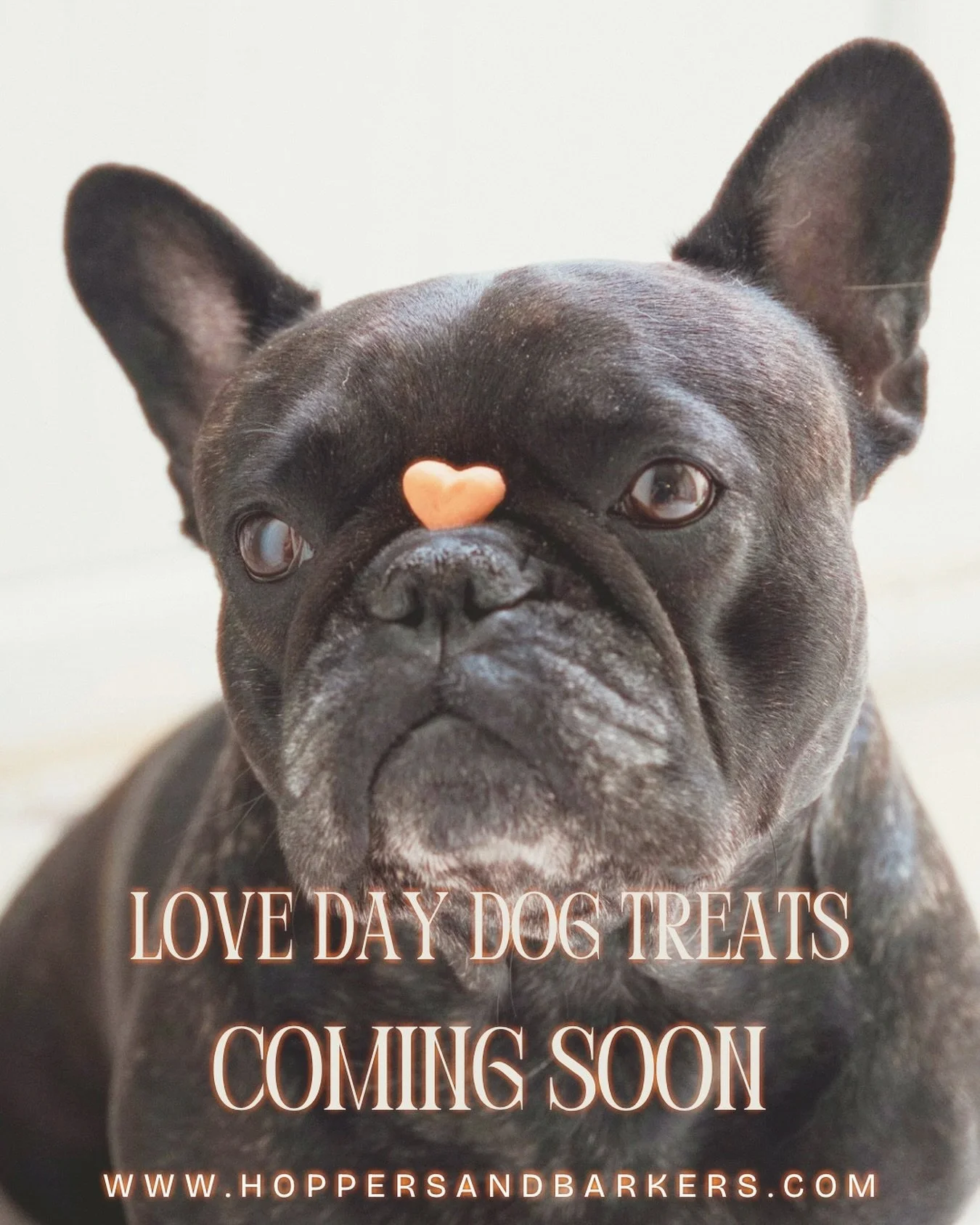 Every tail wag is a love story. 💖
Our Valentine&rsquo;s Day dog treats are thoughtfully crafted to celebrate pure devotion and they are coming out of the oven very soon. 

~~~~~~~~~~~

Love doesn&rsquo;t ask, it simply stays,
Through ordinary and go
