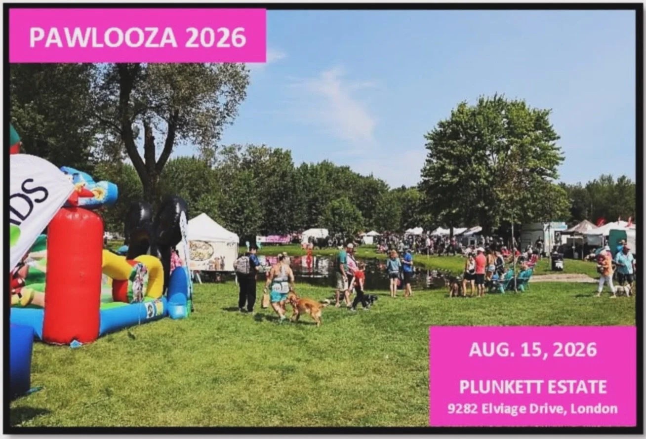 Coming back to Pawlooza in 2026 feels a little surreal in the best way. Last year was our first time, and honestly, it went better than we could&rsquo;ve imagined. We had hundreds of great conversations, happy pups, empty treat bins, sore feet, lost 