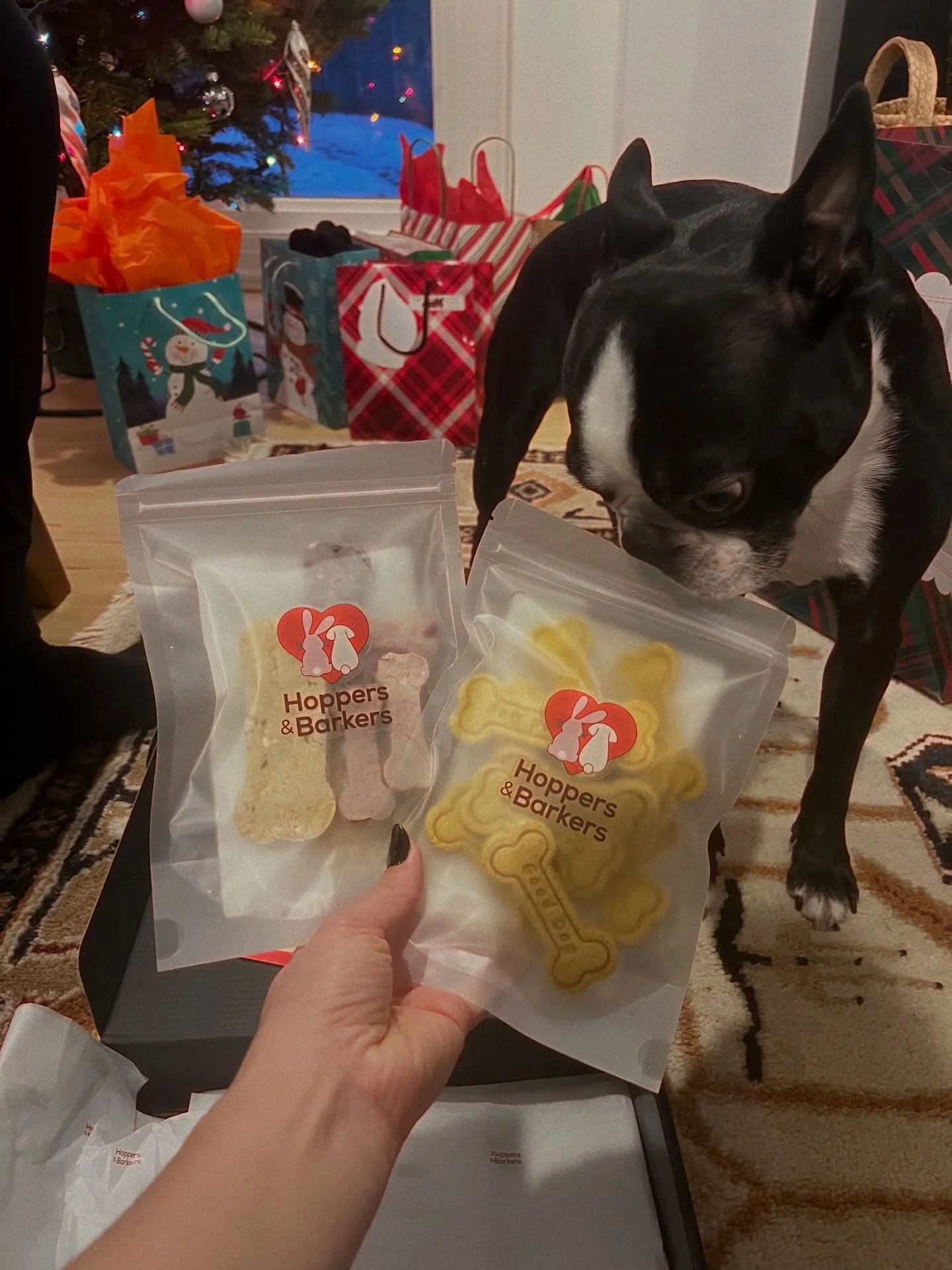 Dogs all over have exquisite taste and it shows 🤪 Hoppers &amp; Barkers taking over the city. One house hold at a time 🤍&hearts;️

&ldquo;ᗰᗩY ᗩᒪᒪ TᕼE ᕼOᑭᑭEᖇᔕ ᗩᑎᗪ ᗷᗩᖇKEᖇᔕ ᗷE ᕼIᑭᑭITY, ᕼOᑭᑭITY, ᗯᗩGGITY, ᗩᑎᗪ ᒪIᐯE ᕼᗩᑭᑭIᒪY.&rdquo; ✨

Hop it. Wag it. Love