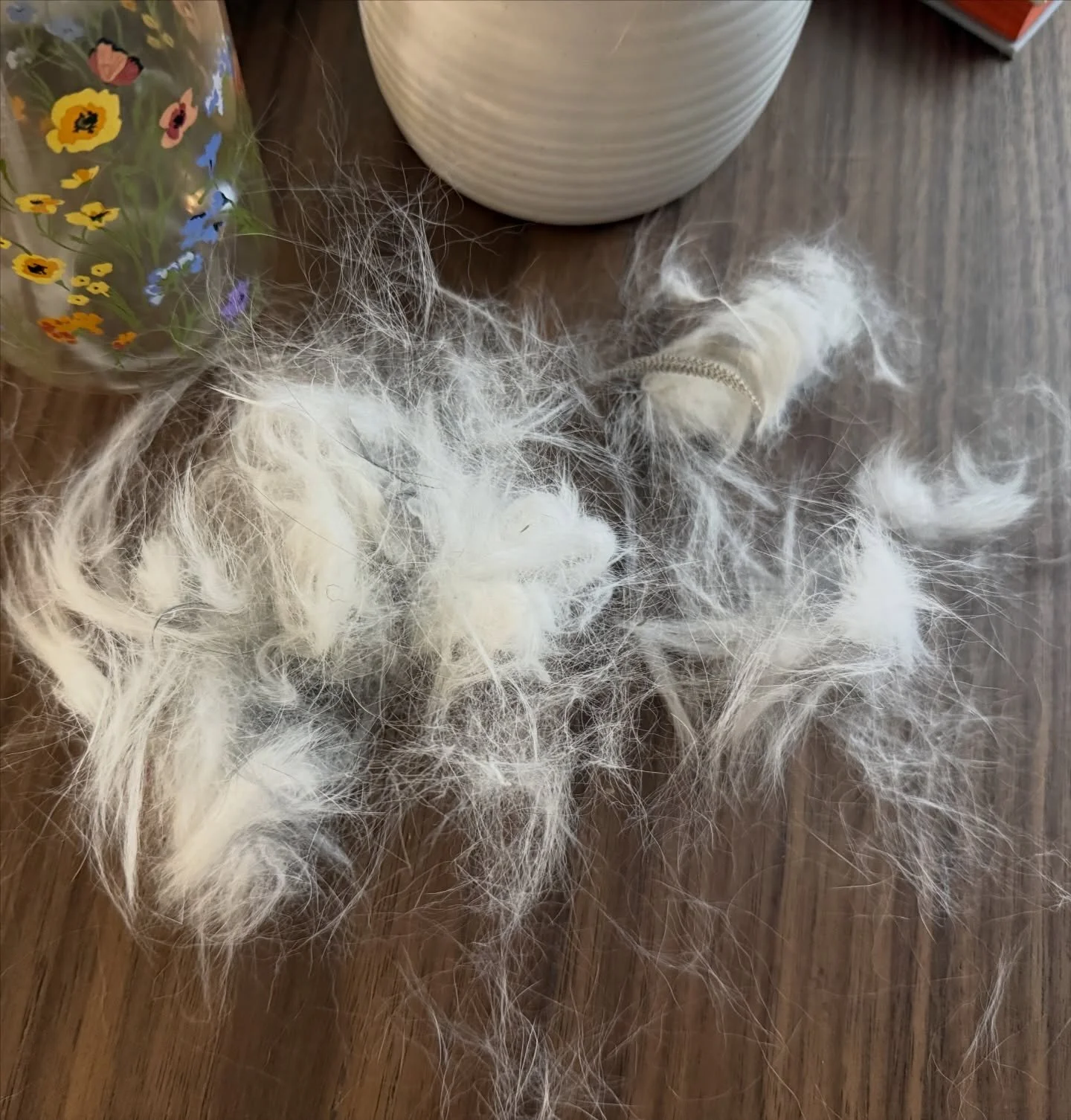 URGENT MESSAGE FOR ALL BUNNY PARENTS 🚨
Please, please pay close attention to your rabbit. Even the smallest change in behavior is their way of communicating with you. Bunnies don&rsquo;t cry, whine, or ask for help, they show us quietly.

Mishka and