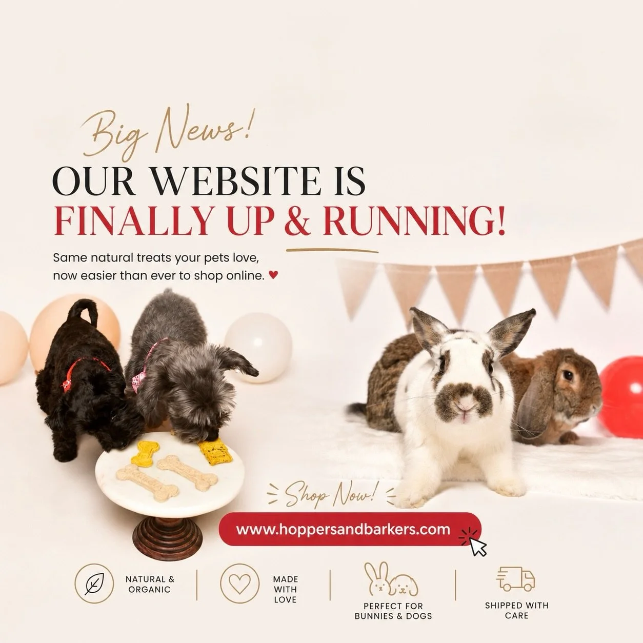 👀 PSSST&hellip;YOUR BELOVED PET SENT YOU.

Apparently they&rsquo;ve been waiting patiently for us to get our act together. 😂

Well&hellip;WE DID IT.

HOPPERS &amp; BARKERS IS FINALLY UP AND RUNNING AGAIN!!!

Your bank account may not love this anno