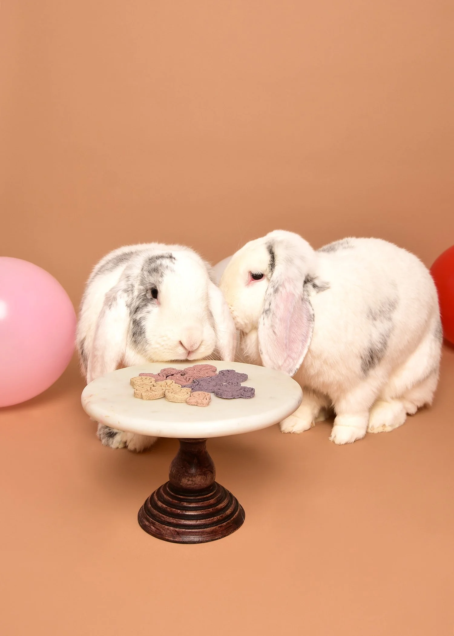 Two fluffy rabbits with droopy ears and black markings on their white fur, sitting on a peach-colored background with pink and red balloons. They are facing a small, round marble-topped table with a wooden base, which has flower-shaped cookies in pur