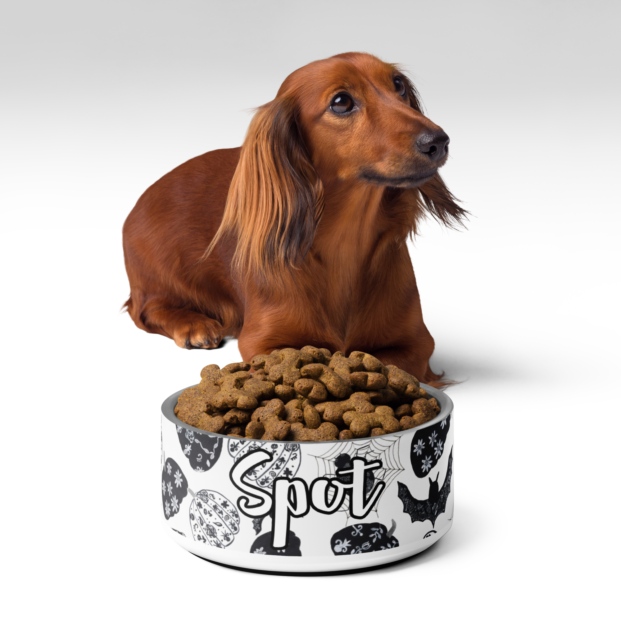 pet-bowl-white-32-oz-front-68c70b78ad50c.png