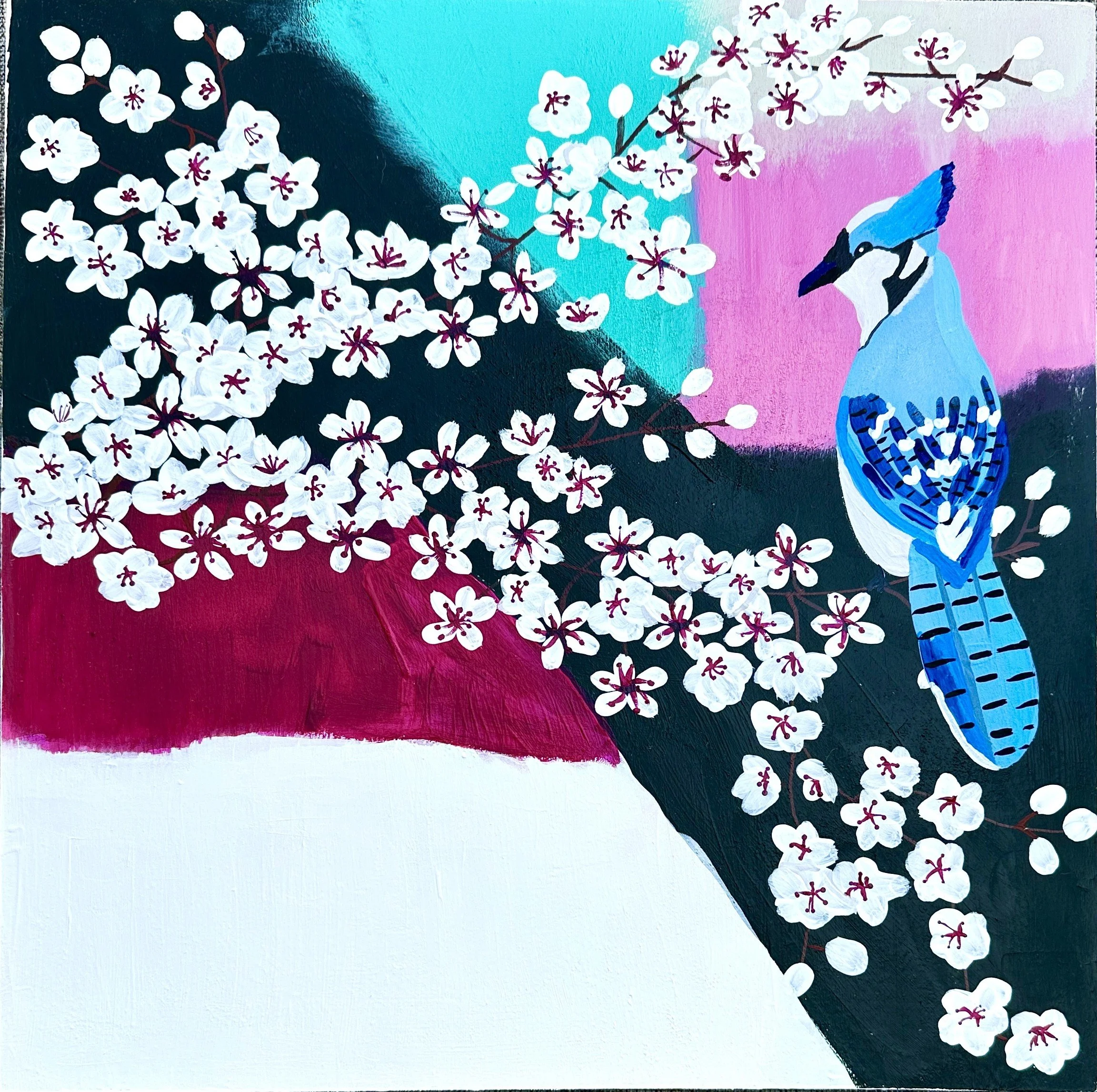 12x12 bluejay cropped.JPG