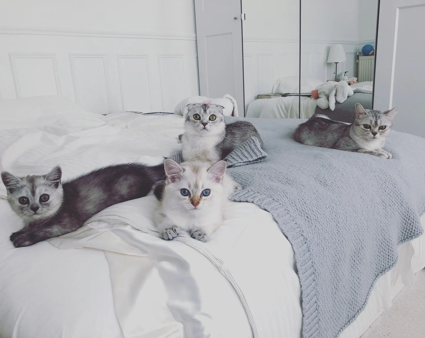 Morning🤦🏻&zwj;♀️