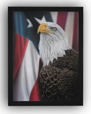 24x18 1.5D blk frame Guardian of freedome.jpg