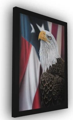 24x18 1.5D blk frame Guardian of freedom side.jpg