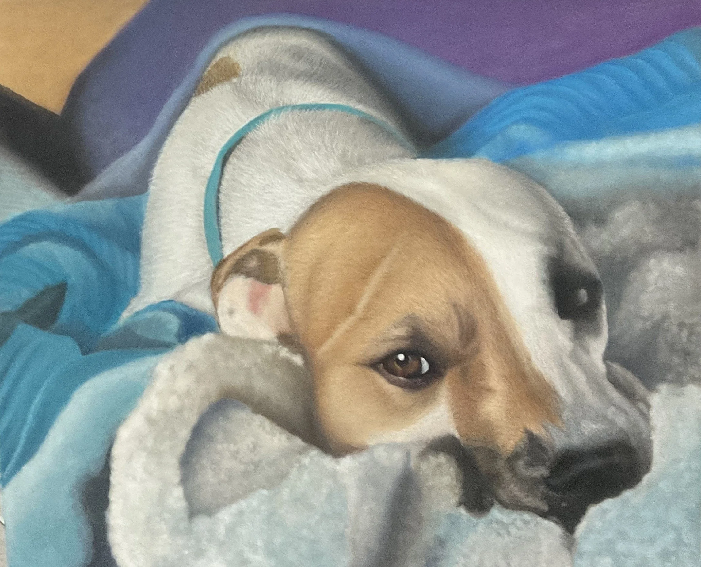 "Mr." Memorial Portrait