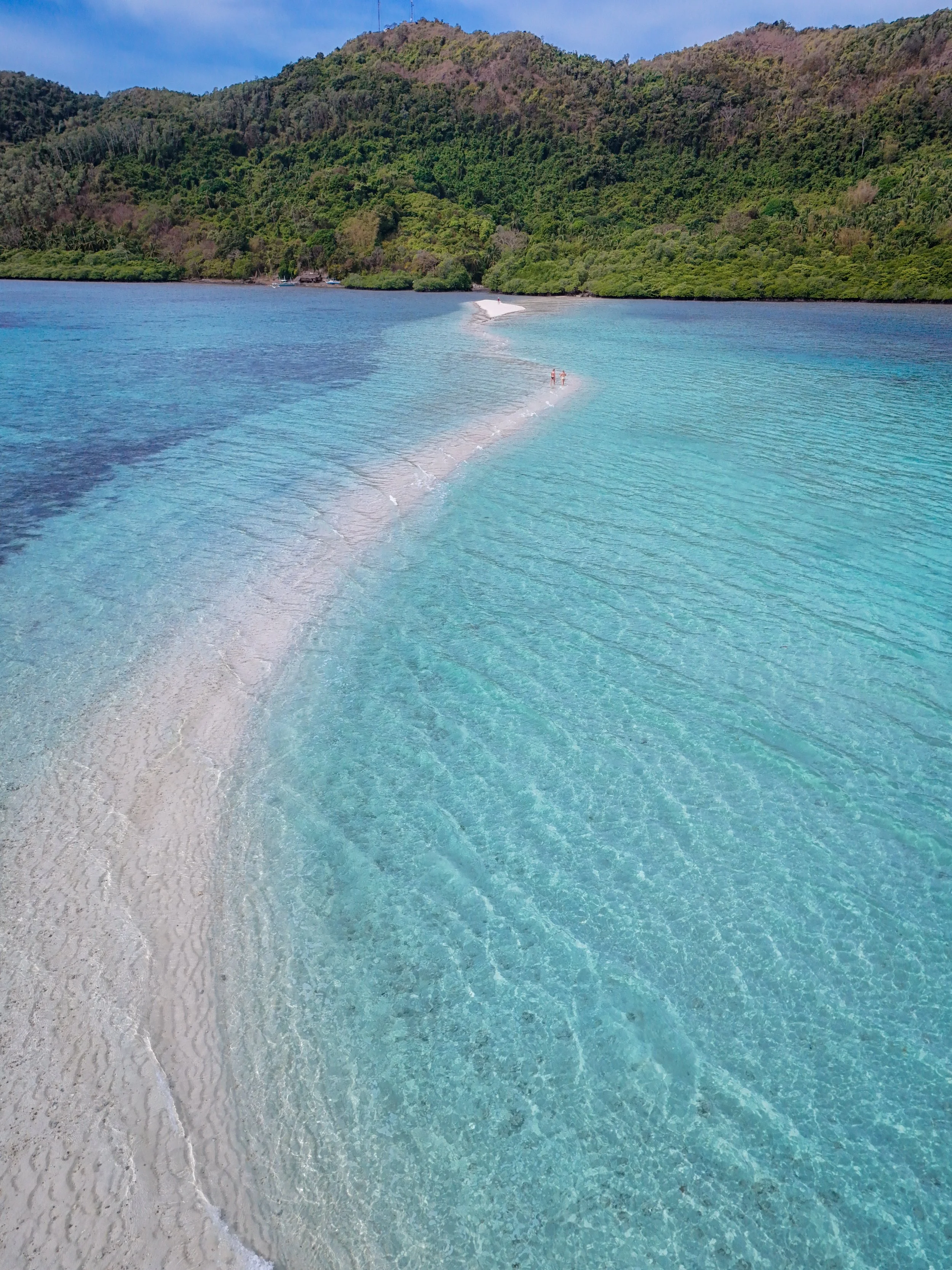 DJI_20240308183738_0168_D.jpg
