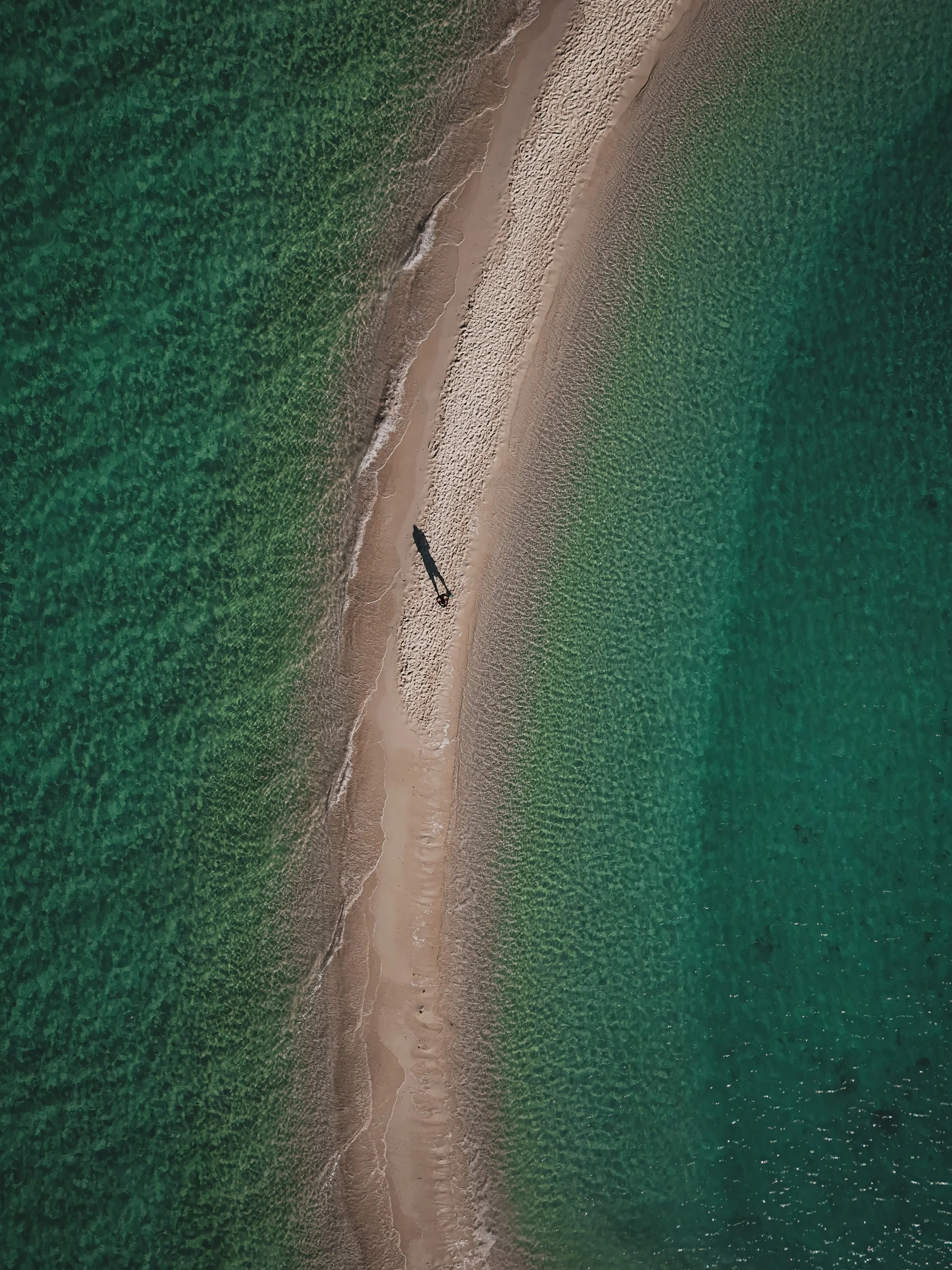 DJI_20240306012206_0270_D.jpg