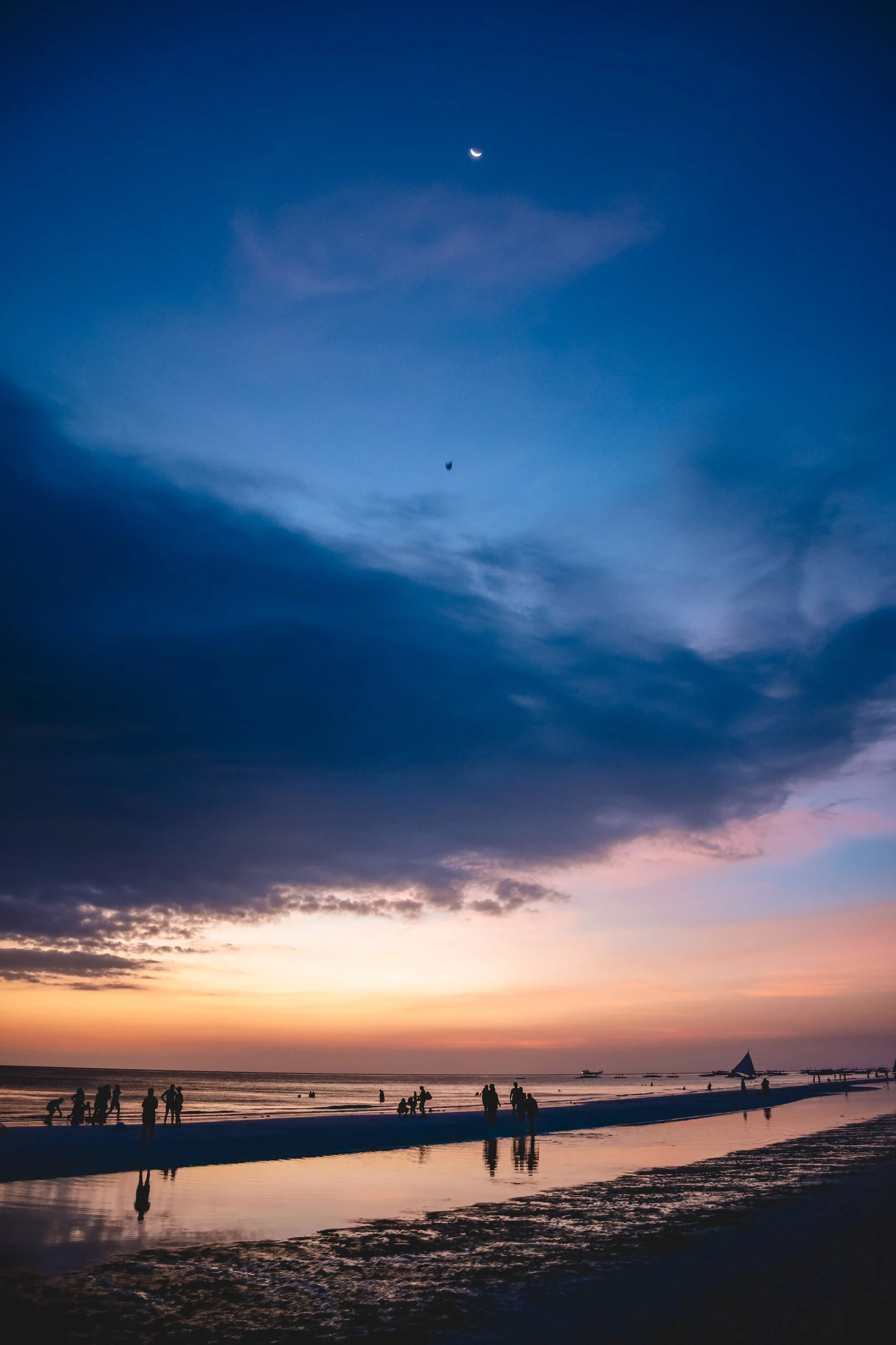 DSC_8378.jpg