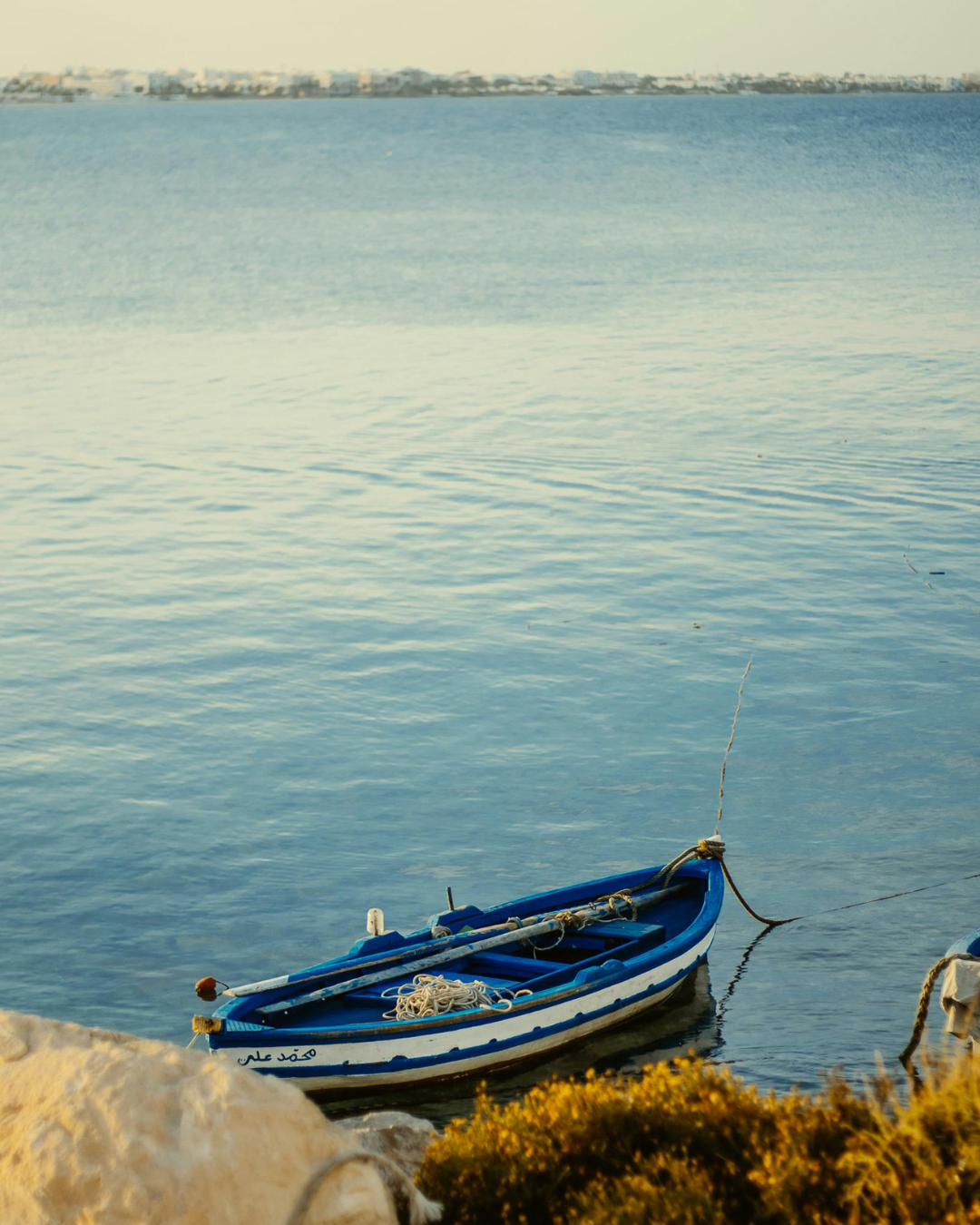 FAO 34: qué significa realmente ese origen y por qué lo elegimos