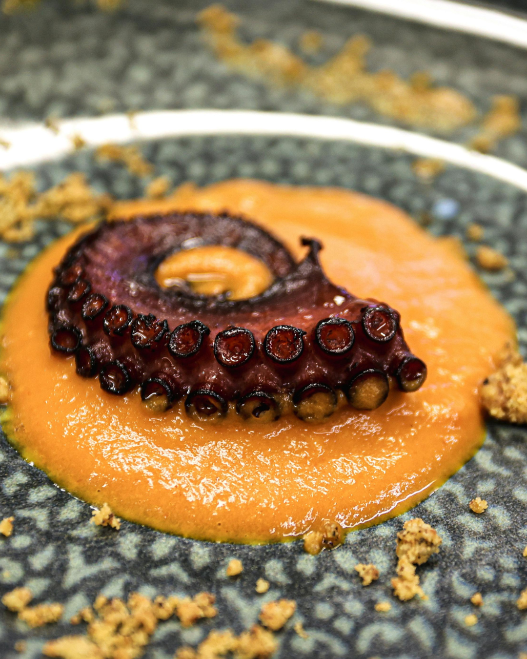 Cefalópodos: tendencia en la cocina de autor