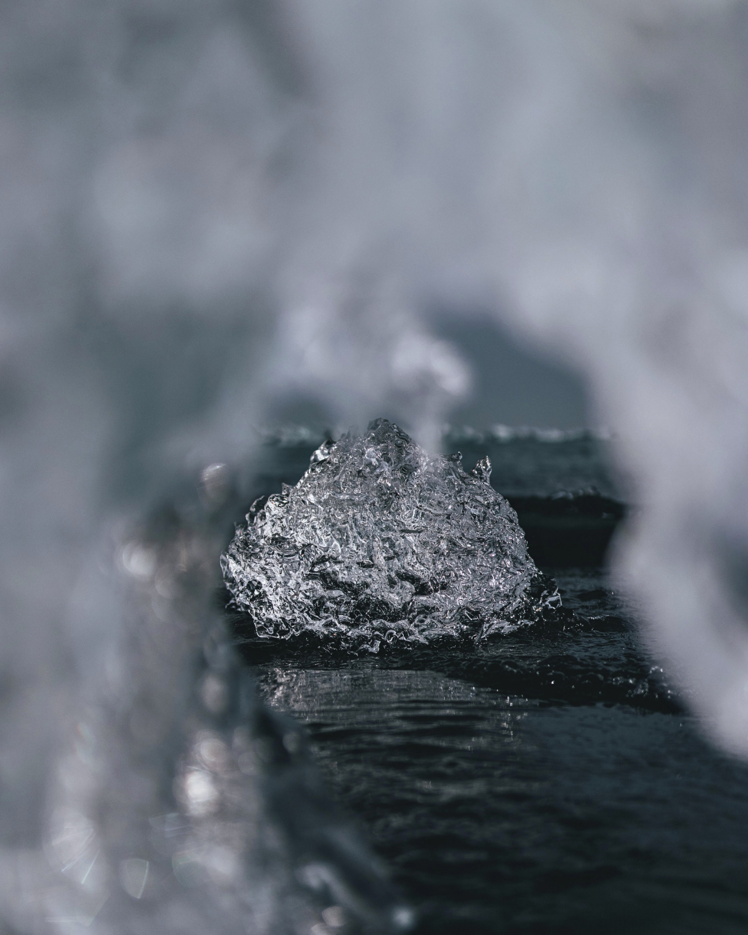 Congelación IQF: control, precisión y eficiencia para el canal HORECA