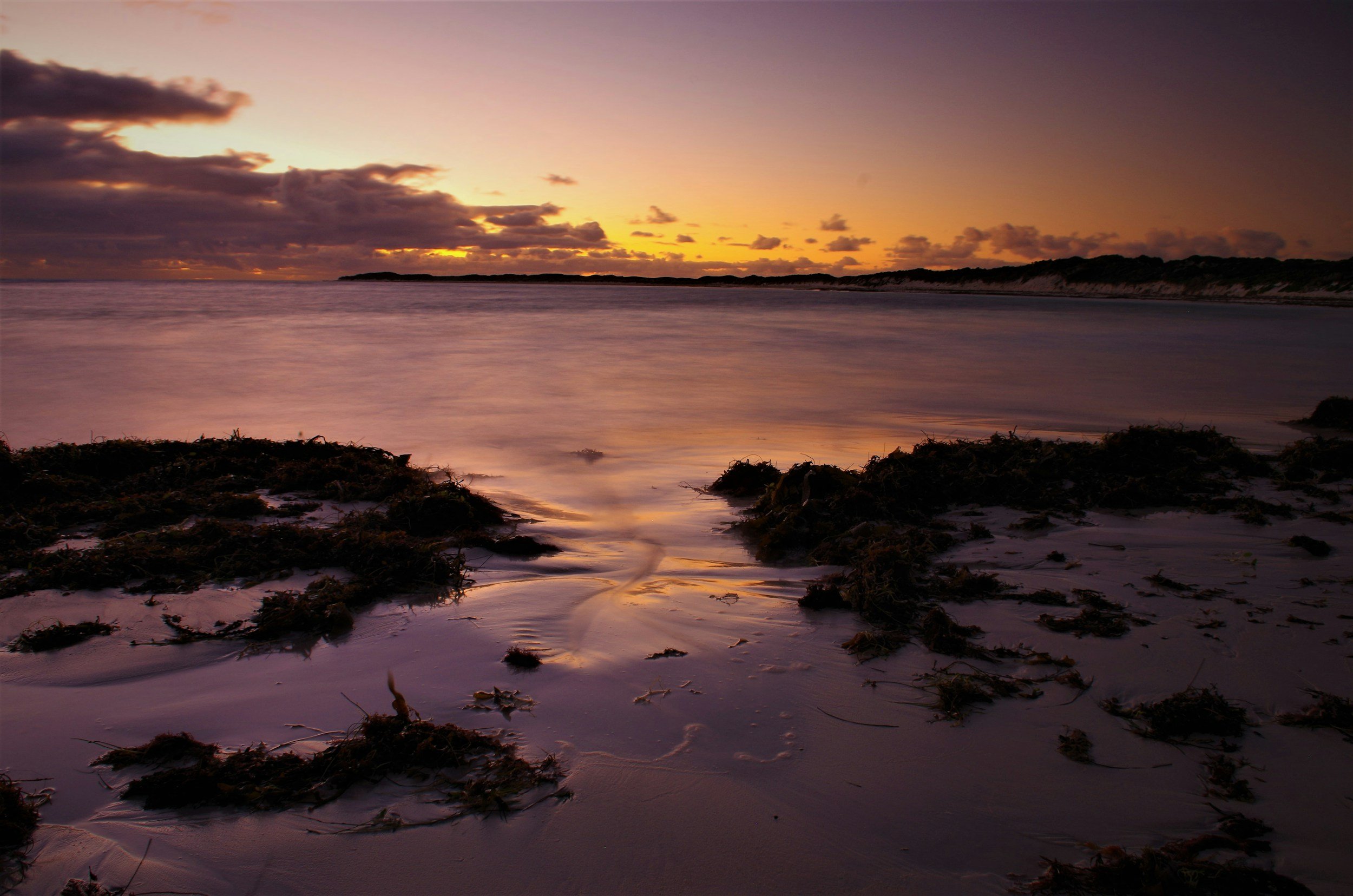 Sunset over Abbey beach with sand, seaweed, and calm water.