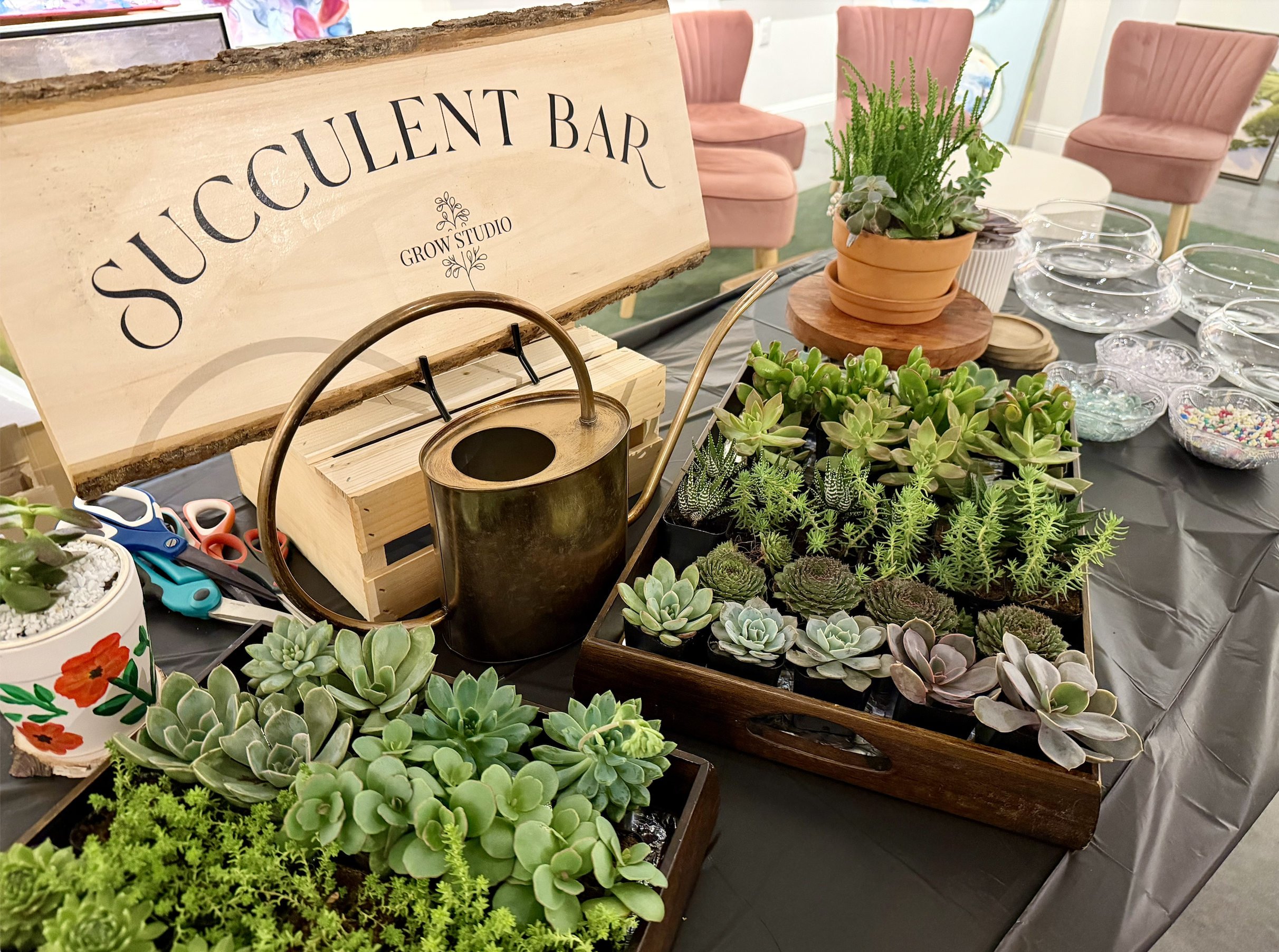 Succulent Bar for 12