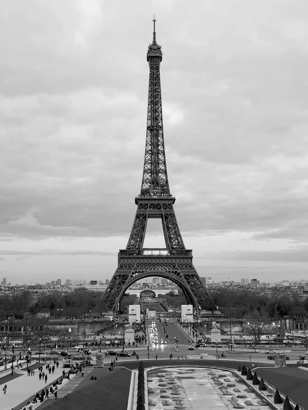 Culinary Canvas: A Taste of Paris