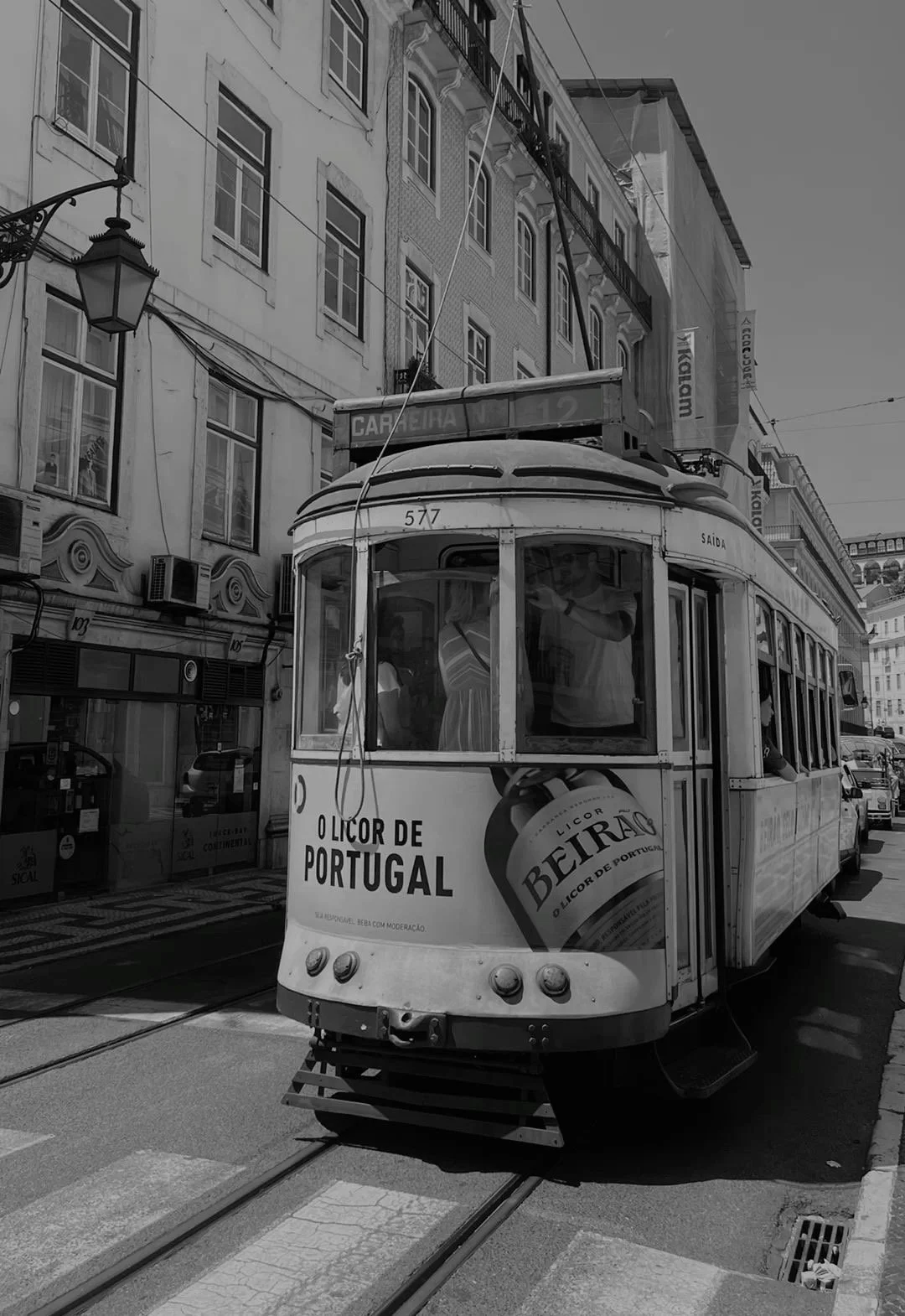 The Palette of Lisbon