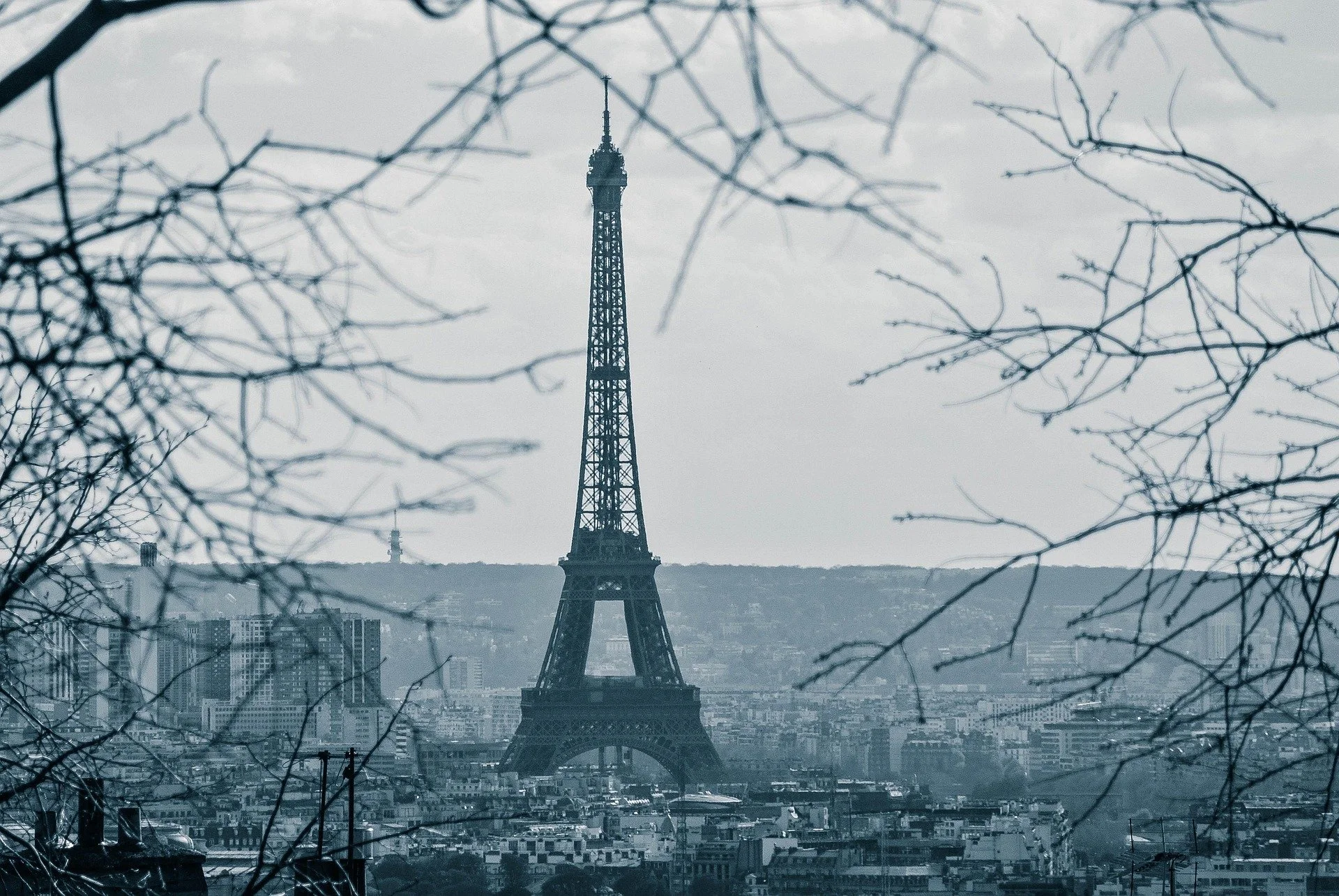 Culinary Canvas: A Taste of Paris