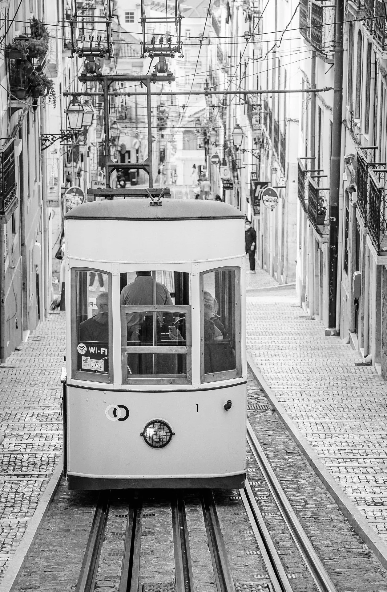 The Palette of Lisbon