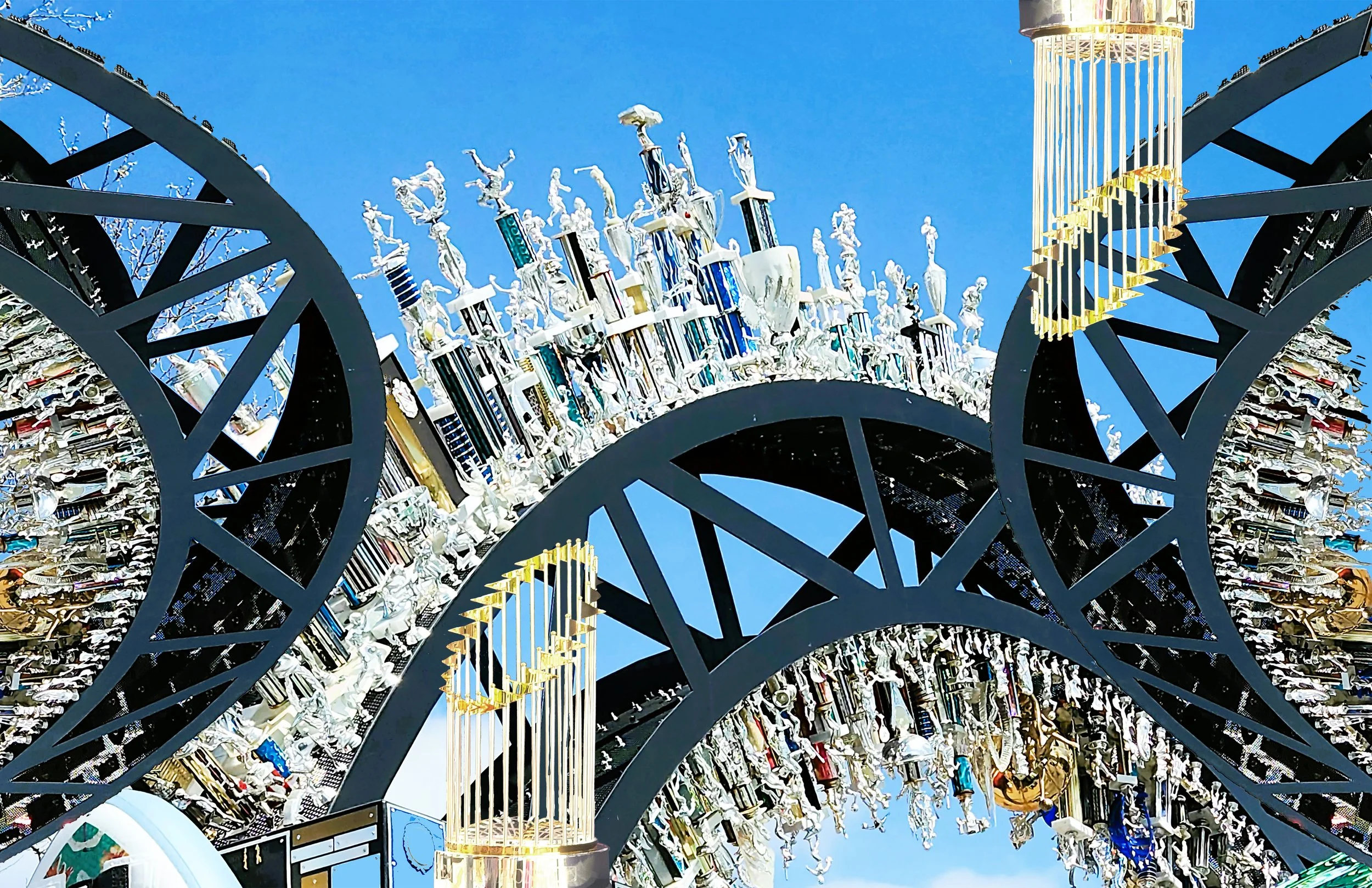 Throphy Roller Coaster_Photo on Canvas_17x11_$199.jpg