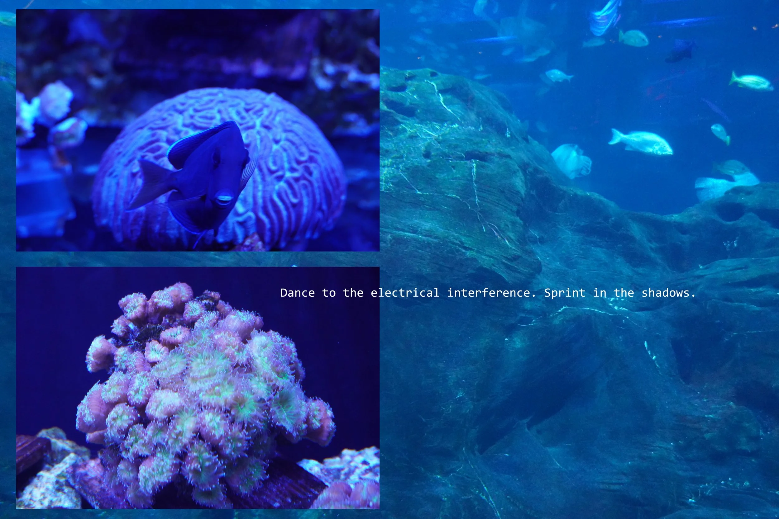 michael-hanna-blue-underwater-artwork.jpg