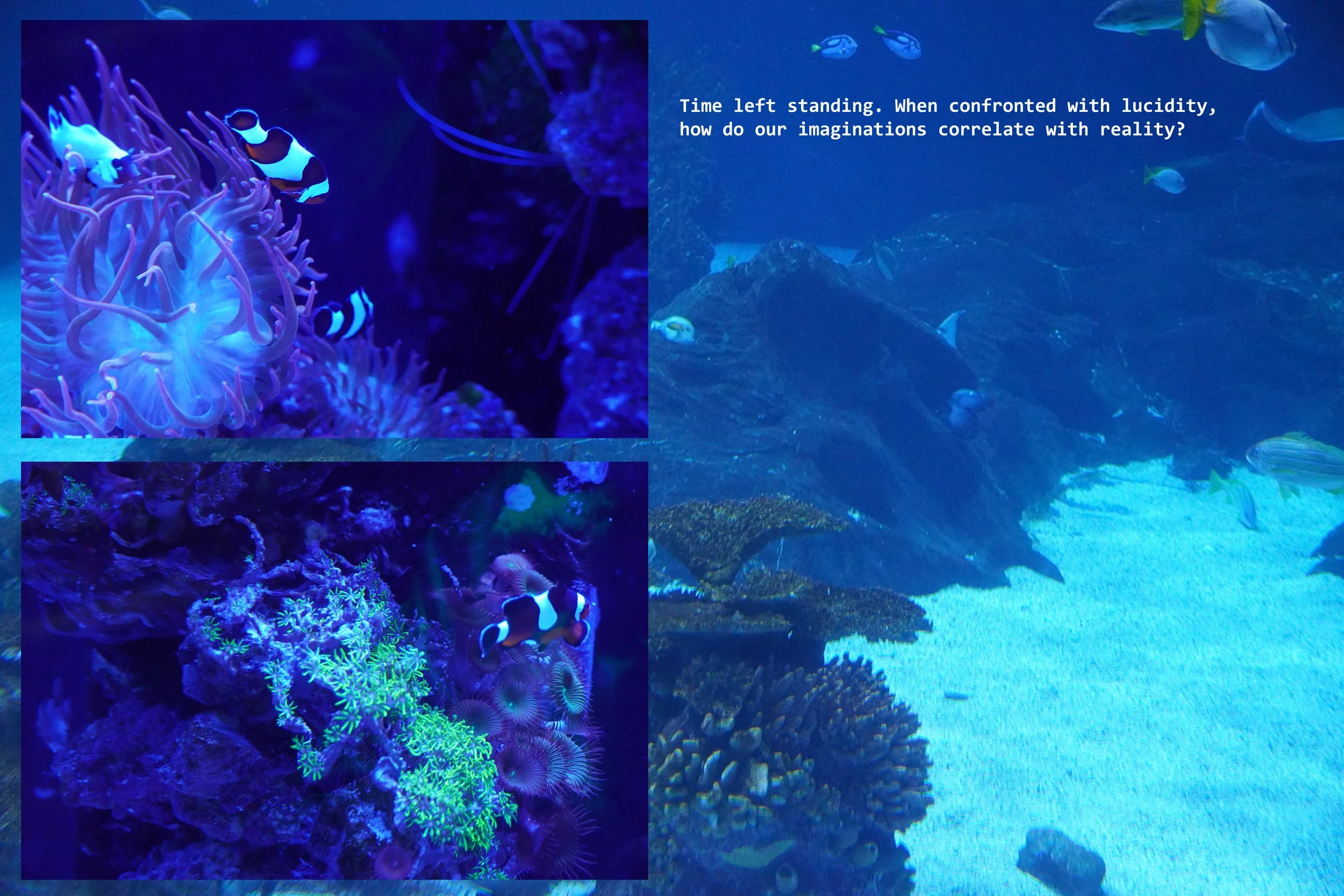 michael-hanna-blue-underwater-artwork.jpg