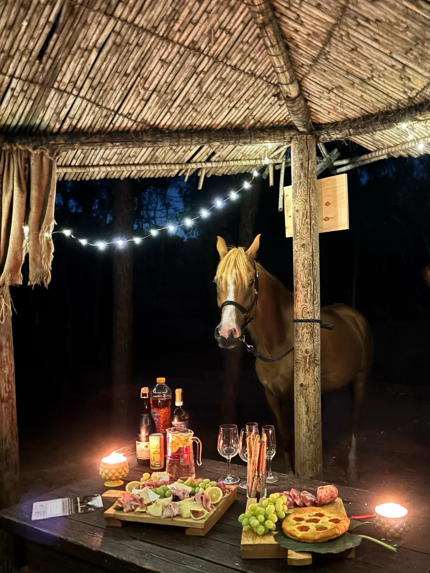 Full Moon Ride &ndash; September Edition ✨🌕

We set off at sunset, riding through the Sicilian countryside until we reach the beach under the stars. Under the glow of the full moon, we ride along the shoreline, then pause in a woodland spot to share