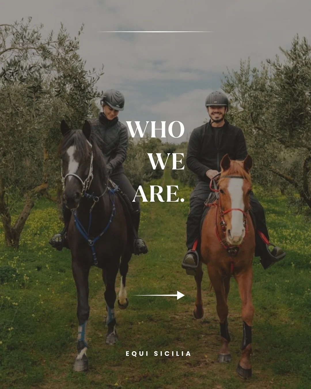 Equi Sicilia &ndash; Who we are.
Sharing Sicily on horseback, preserving rare breeds, creating authentic adventures.

#EquiSicilia #HorsebackRidingSicily #SicilianHorses