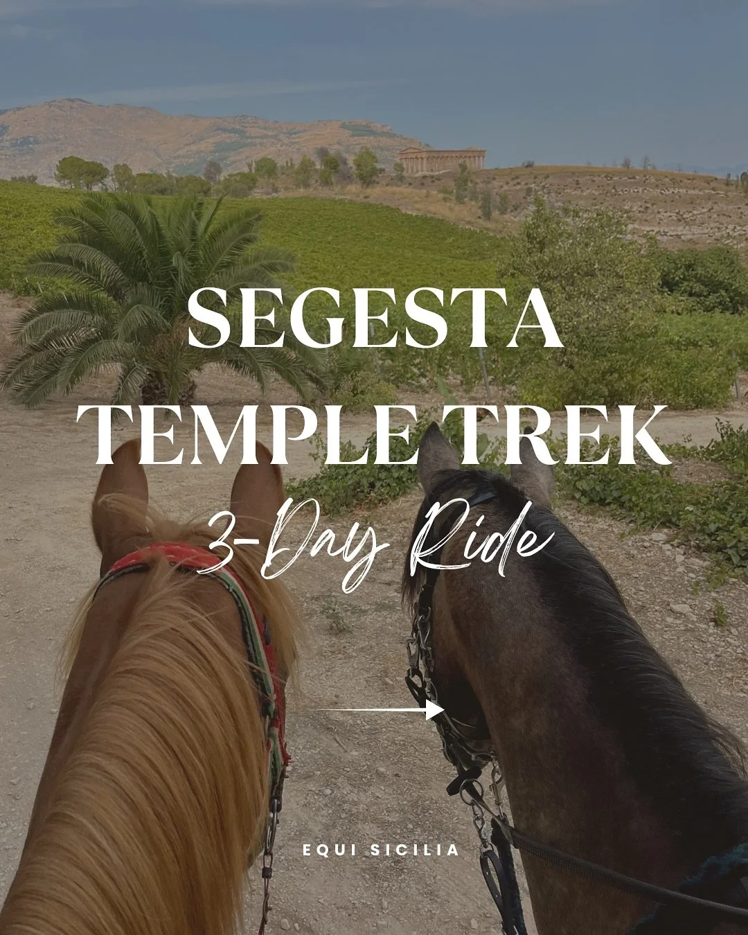 RIDE THROUGH HISTORY Our 3-day Segesta Temple Trek is reserved for experienced riders. The route takes you across rolling hills, vineyards, woodland areas, and ancient landscapes &mdash; all leading to one of Sicily&rsquo;s greatest treasures: the Do