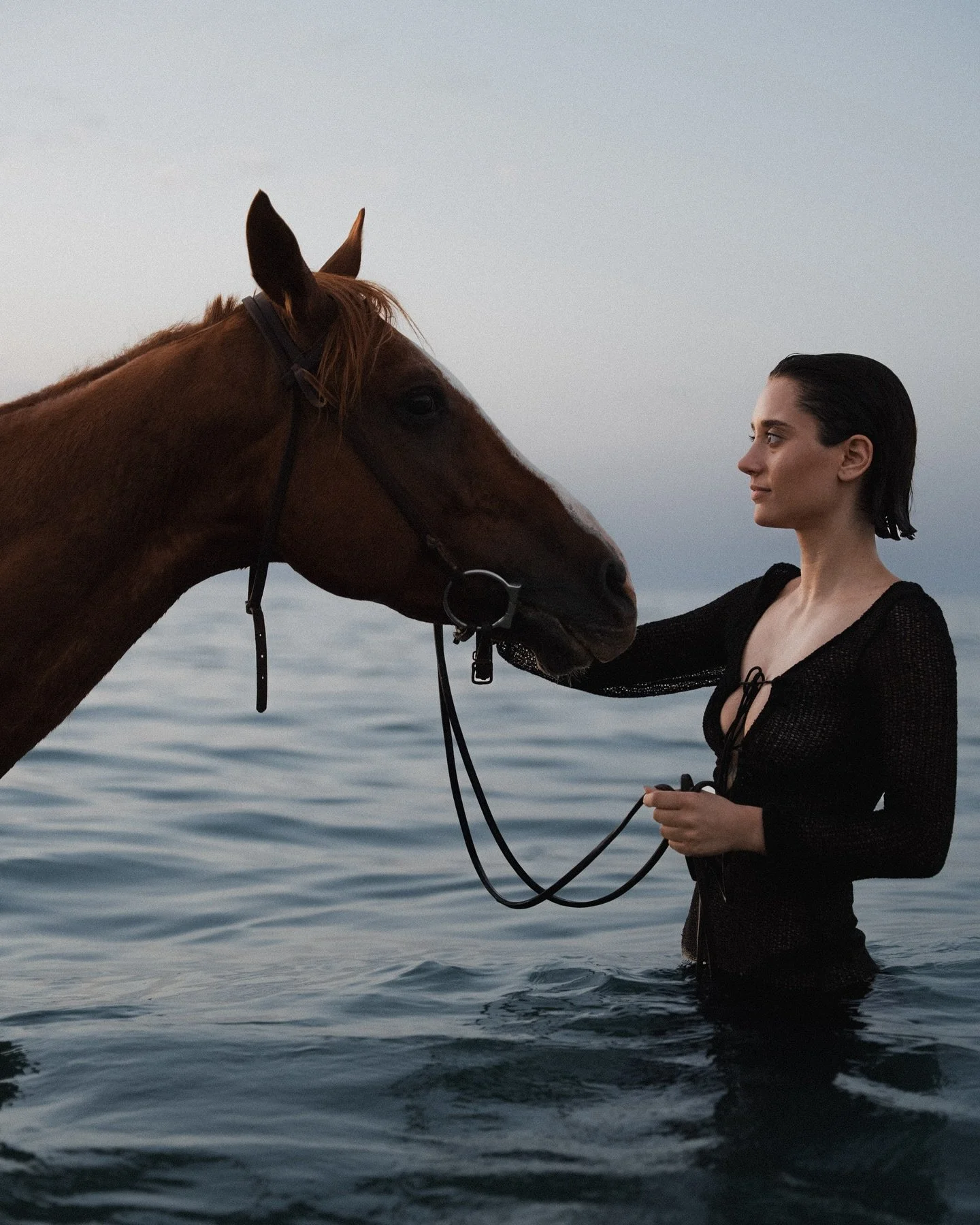 When freedom meets the horizon. 

Our Sicilian horses are available for photo, video &amp; artistic projects - from editorials to creative collaborations.

🐎 Featuring Frodo di Ambelia, our Oriental Purebred stallion.

&mdash; 

Quando la libert&agr