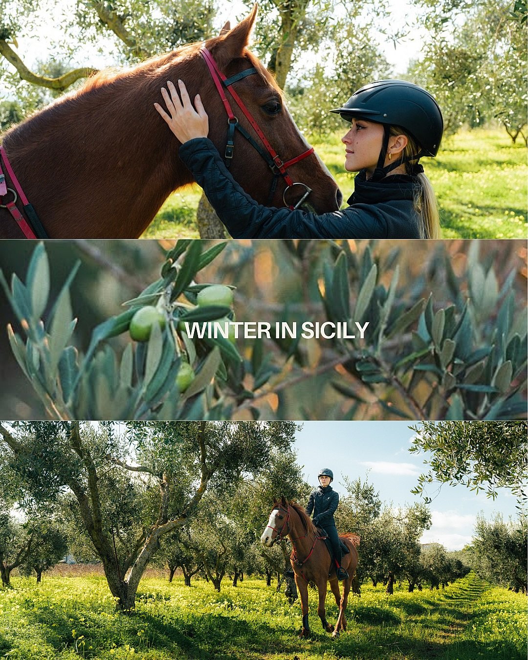 ❄️🌸☀️🍂 Four seasons, one perfect destination for horseback riding. Sicily&rsquo;s climate allows us to ride all year round, each season offering a different rhythm and atmosphere.
🌸🍂 Spring &amp; Autumn are ideal for long treks, discovering lands