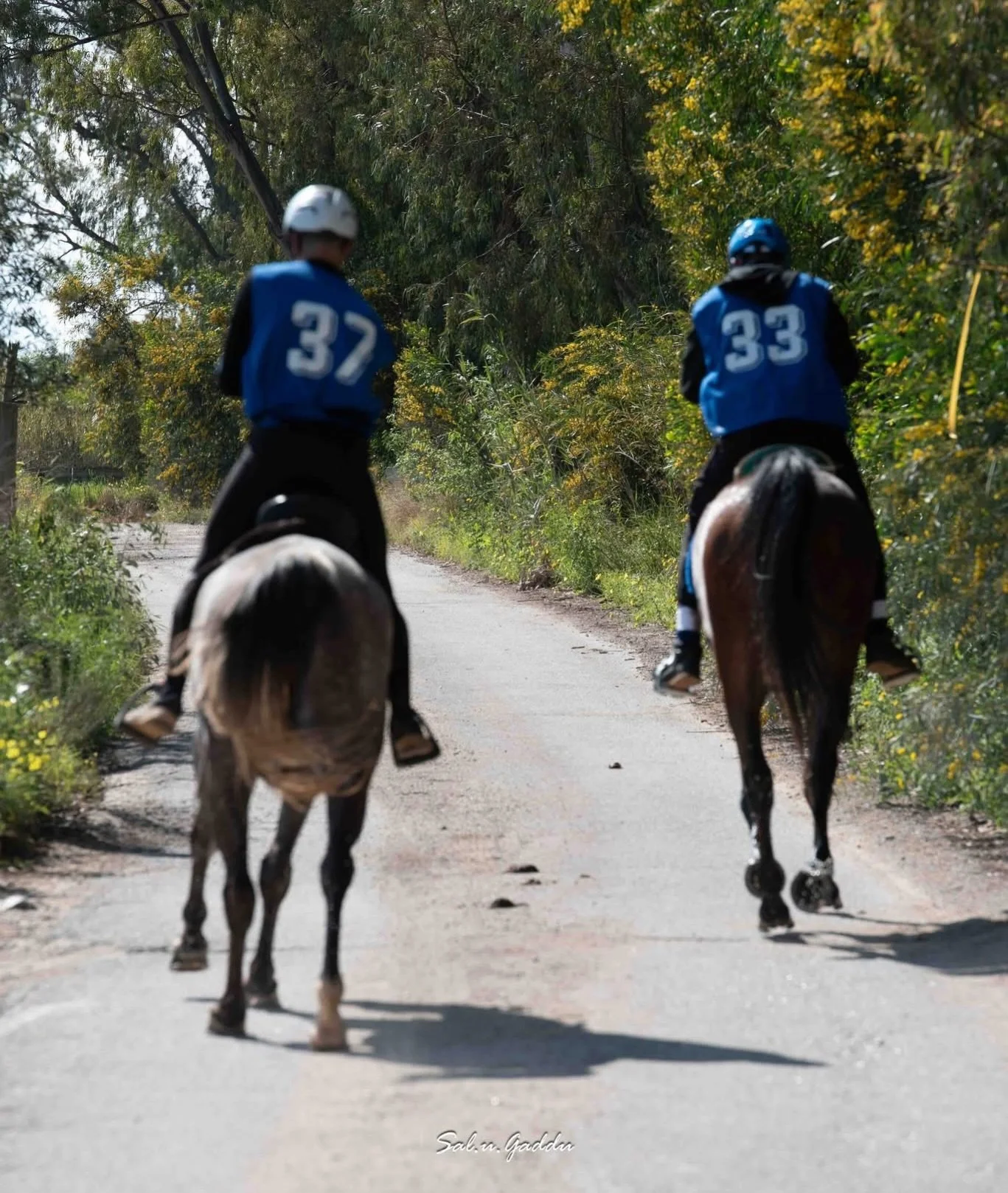 ✨1&ordf; Tappa Campionato Regionale Endurance Sicilia✨
Un weekend intenso, emozionante e ricco di soddisfazioni 💛
Un enorme grazie al comitato organizzatore di Equi Sicilia - Arianna Accardi, Roberto Salvia, Giuseppe Speciale, Vittorio Pollara e Bet