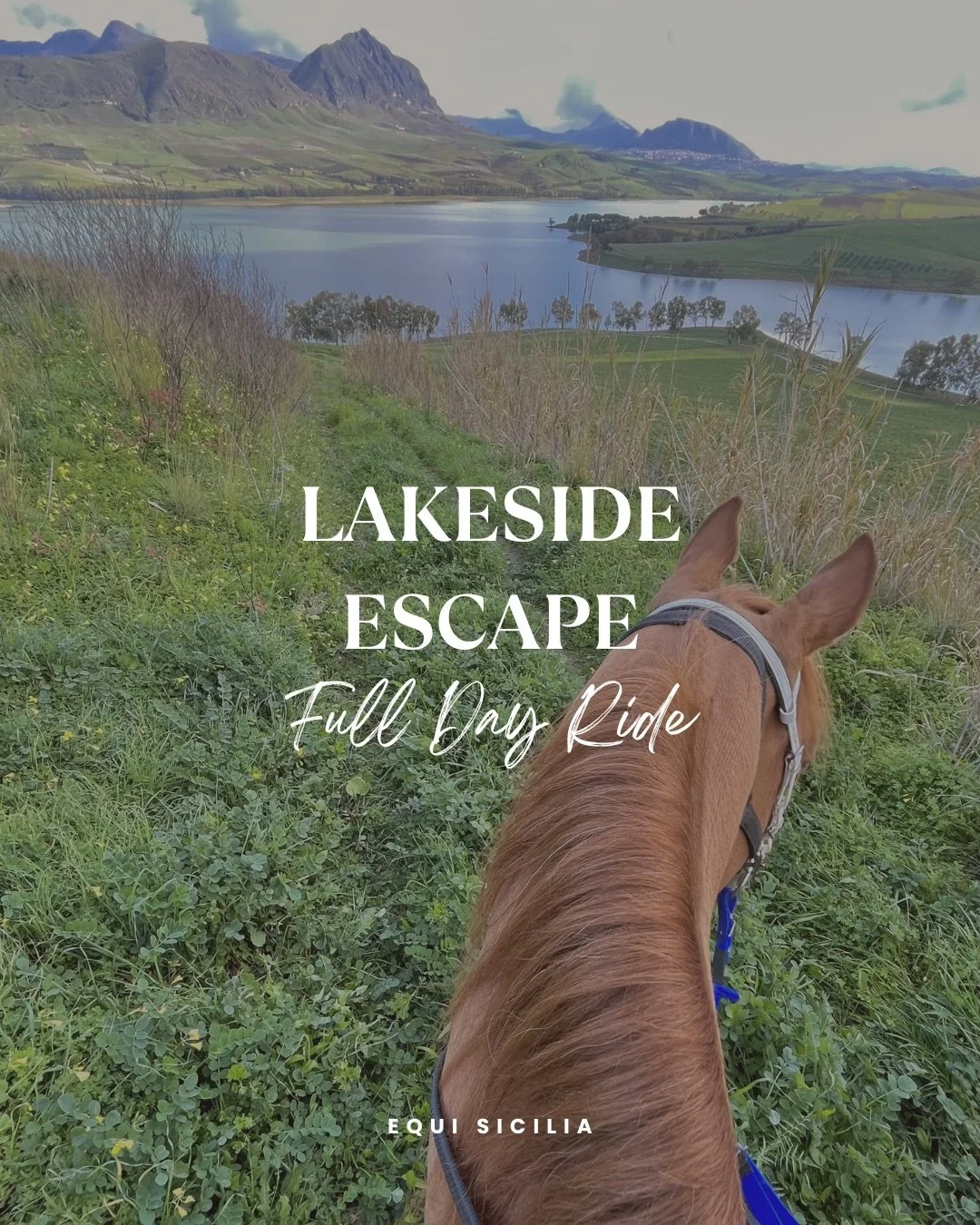 LAKESIDE ESCAPE 

🇬🇧 1-day trek through wild Sicily, with a typical Sicilian lunch by the lake.
💪 For experienced riders only!
📩 DM us to book your ride 

🇮🇹 Una giornata a cavallo tra paesaggi selvaggi con pausa pranzo tipica siciliana in riva