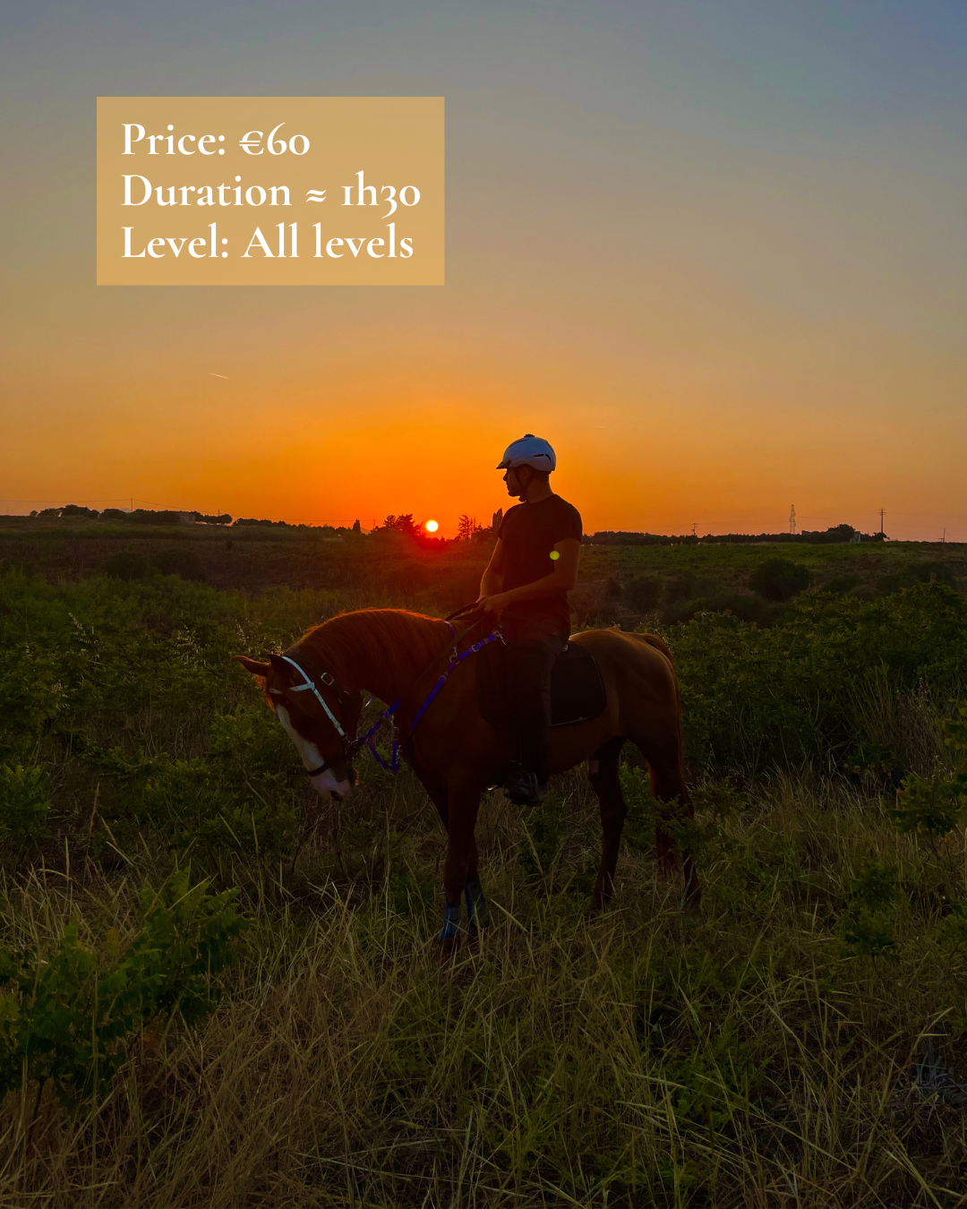 A rider and his horse in front of a colorful sunset in the Sicilian countryside
