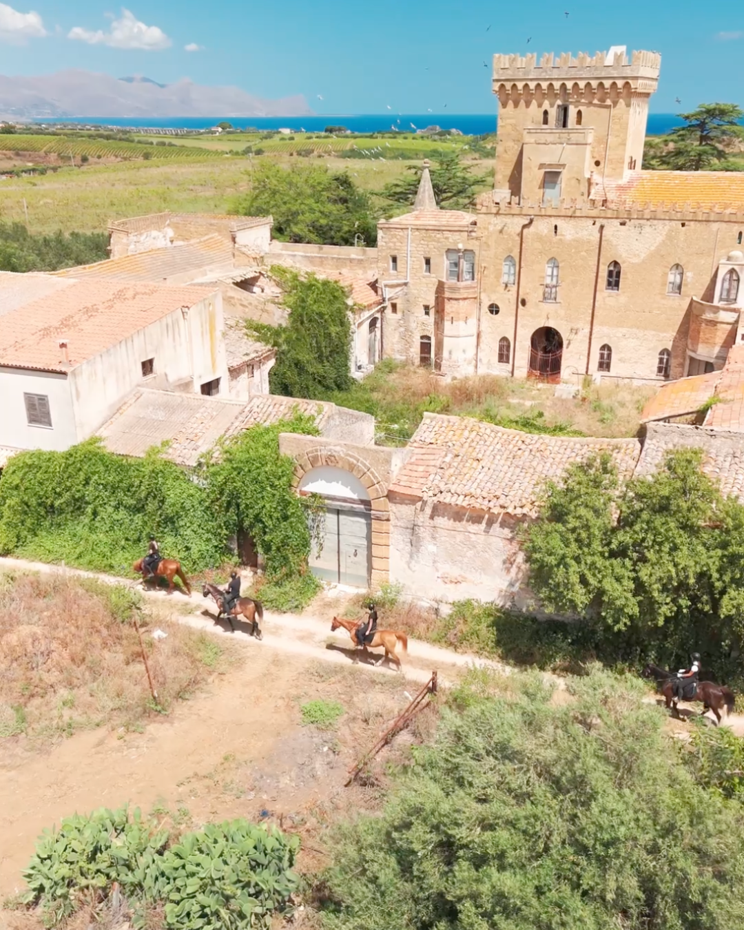 Chevaux et cavaliers au pas devant un château.