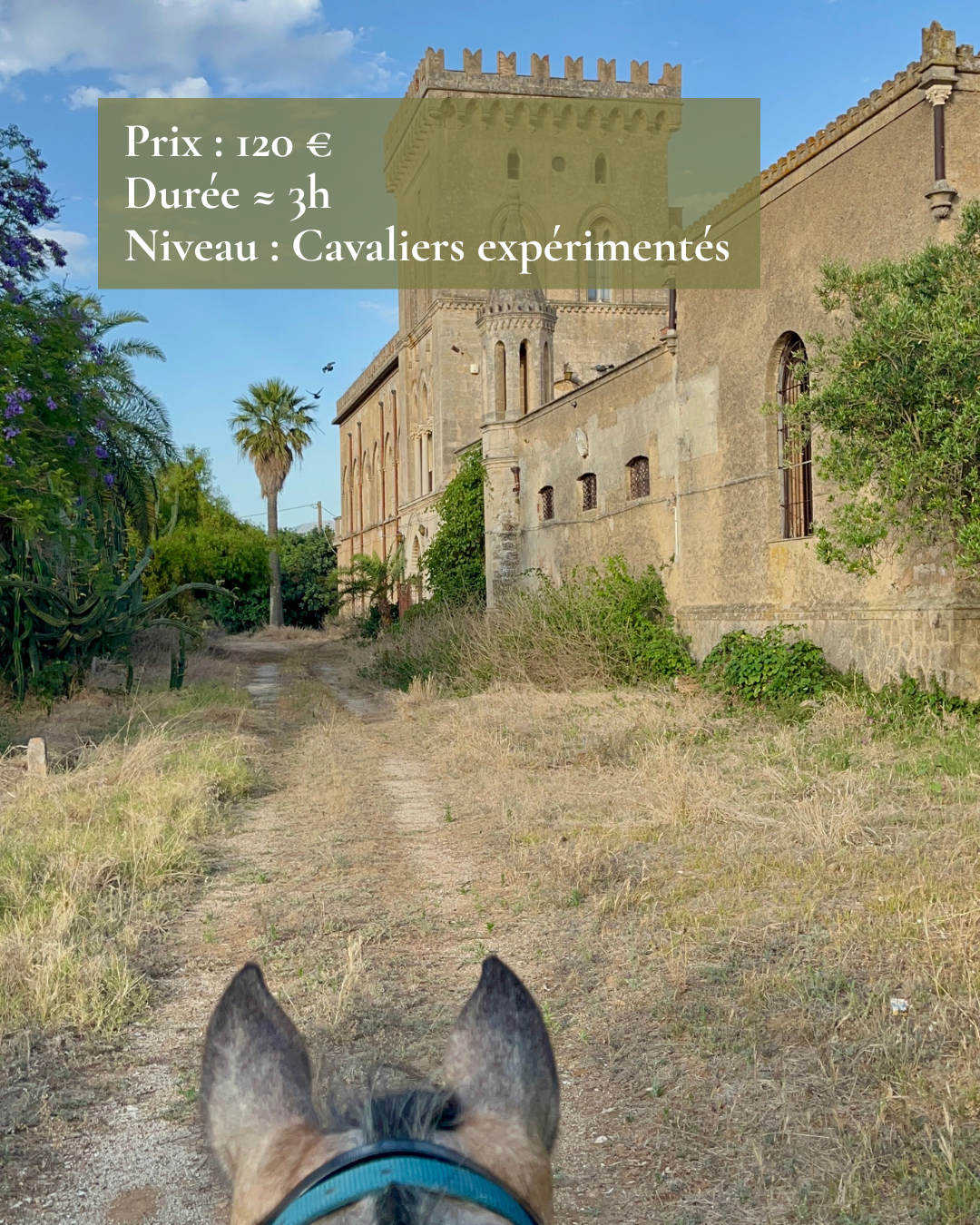 Cheval devant un château avec les info de la balade : prix (120€), durée (≈ 3h), niveau (cavaliers expérimentés).