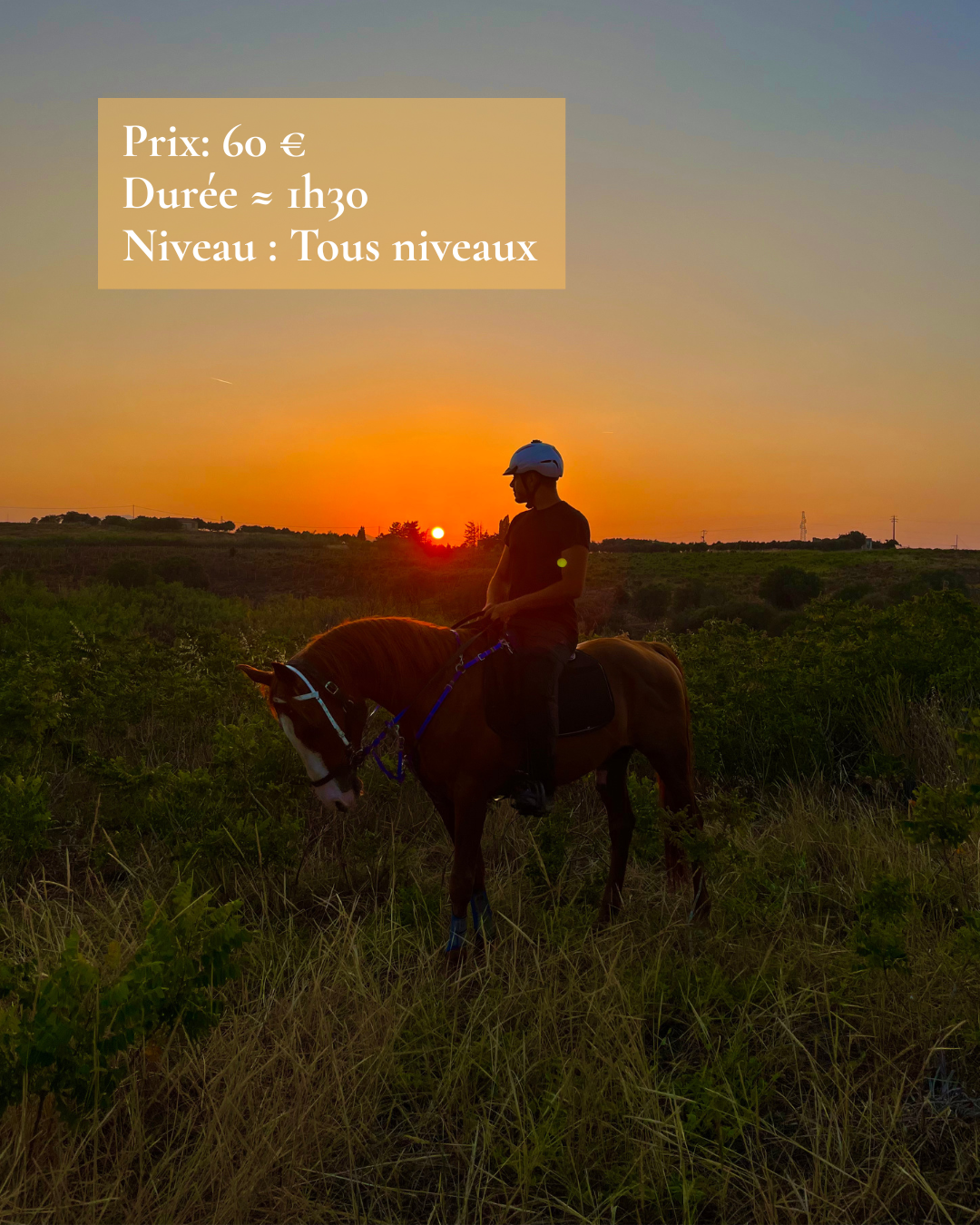 Un cavalier à cheval devant un coucher de soleil dans la campagne sicilienne.