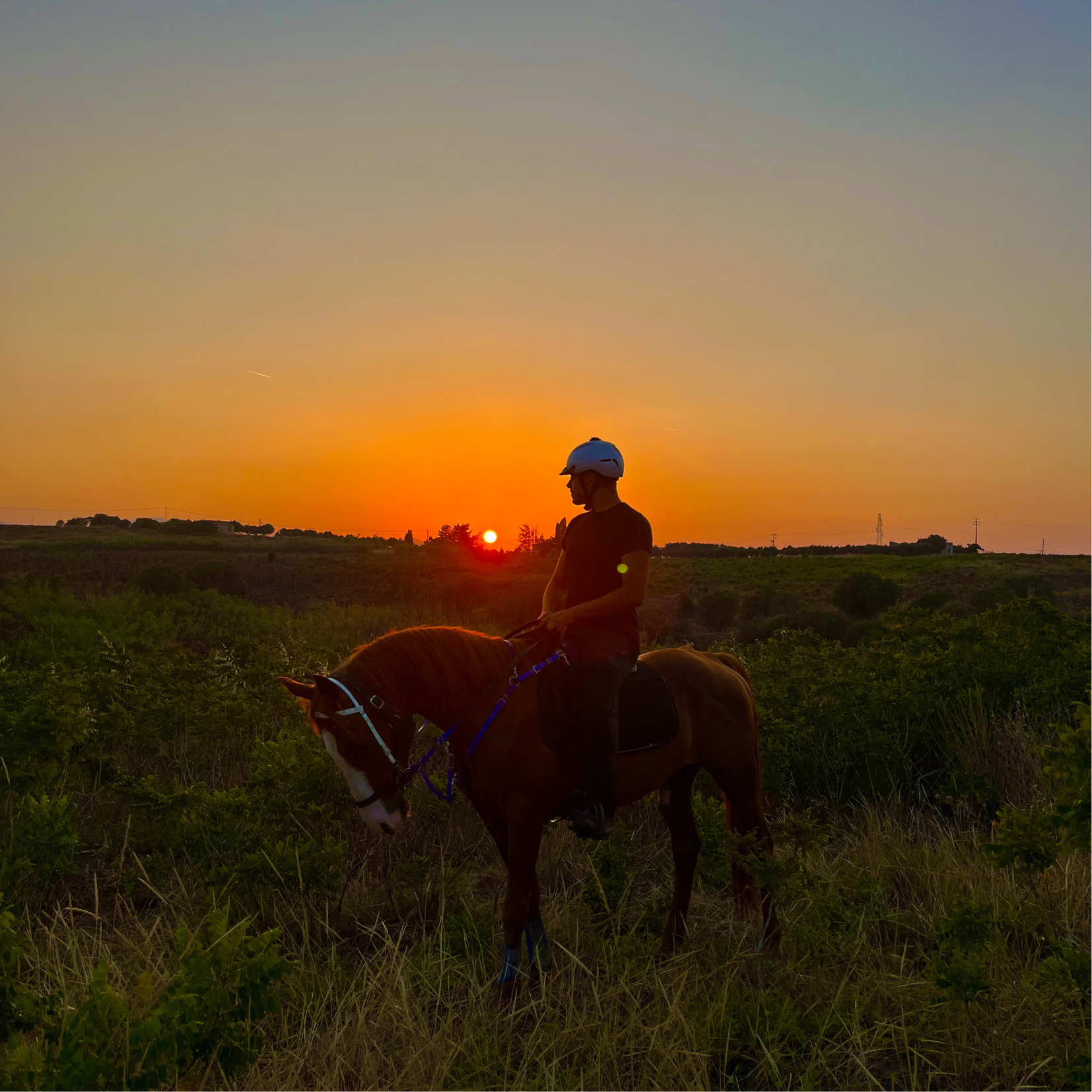 Un cavaliere e suo cavallo di fronte ad un tramonto nelle campagne siciliane.