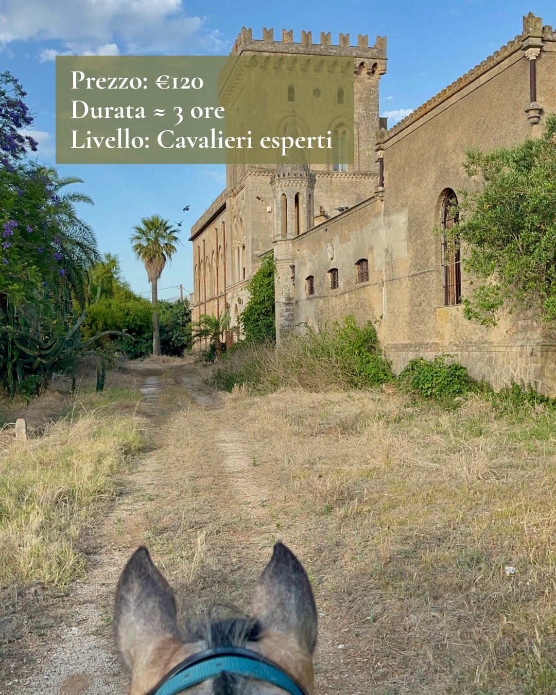 Cavallo davanti ad un castello con info della passeggiata: prezzo (120€), durata (≈3 ore), livello (cavalieri esperti)