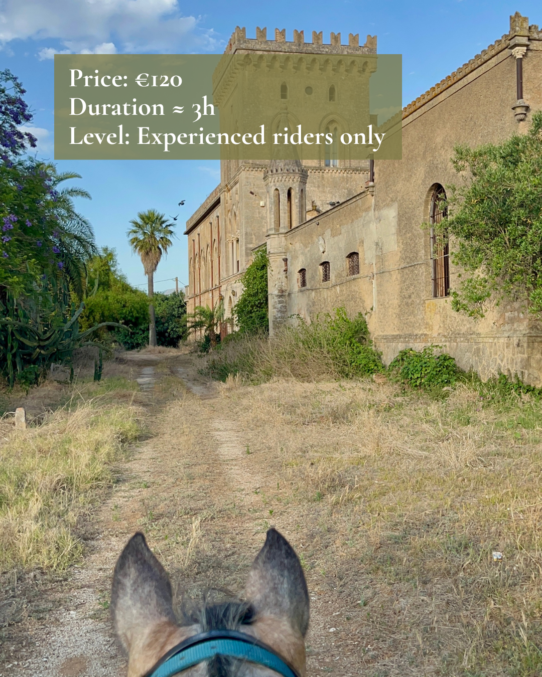Horse in front of a castle, with ride info: price (€120), duration (≈3h), level (experienced riders only).