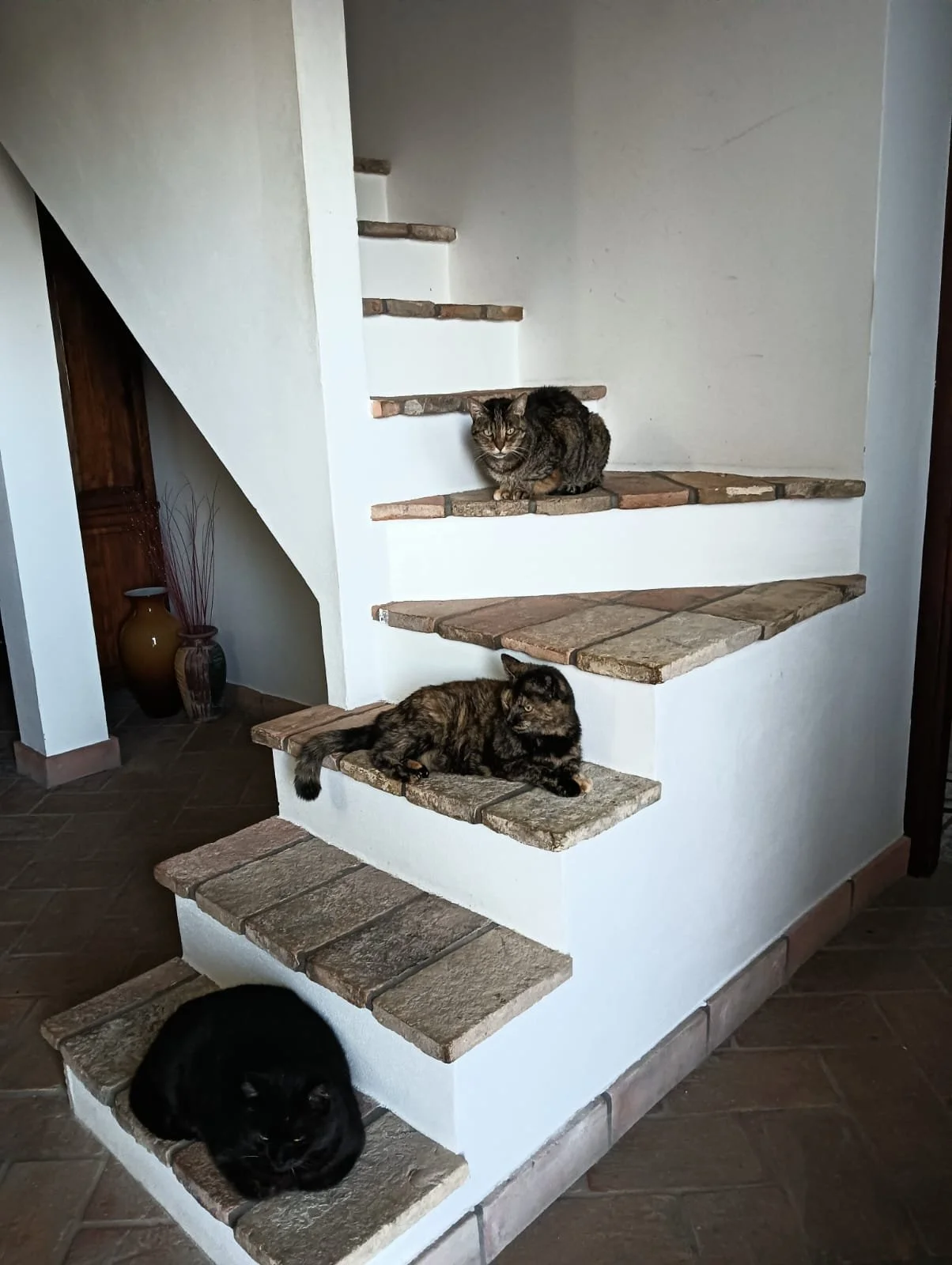 stairs.jpg