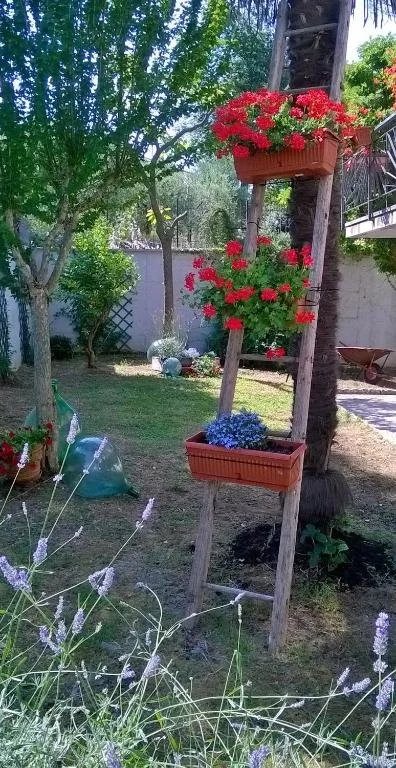 132526867.jpg