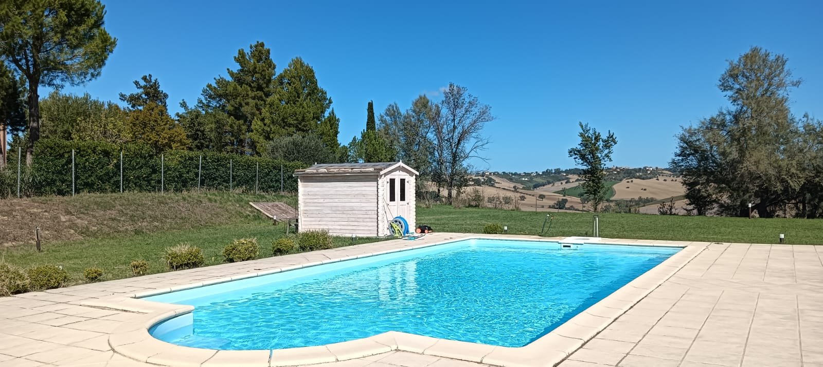 the pool.jpg