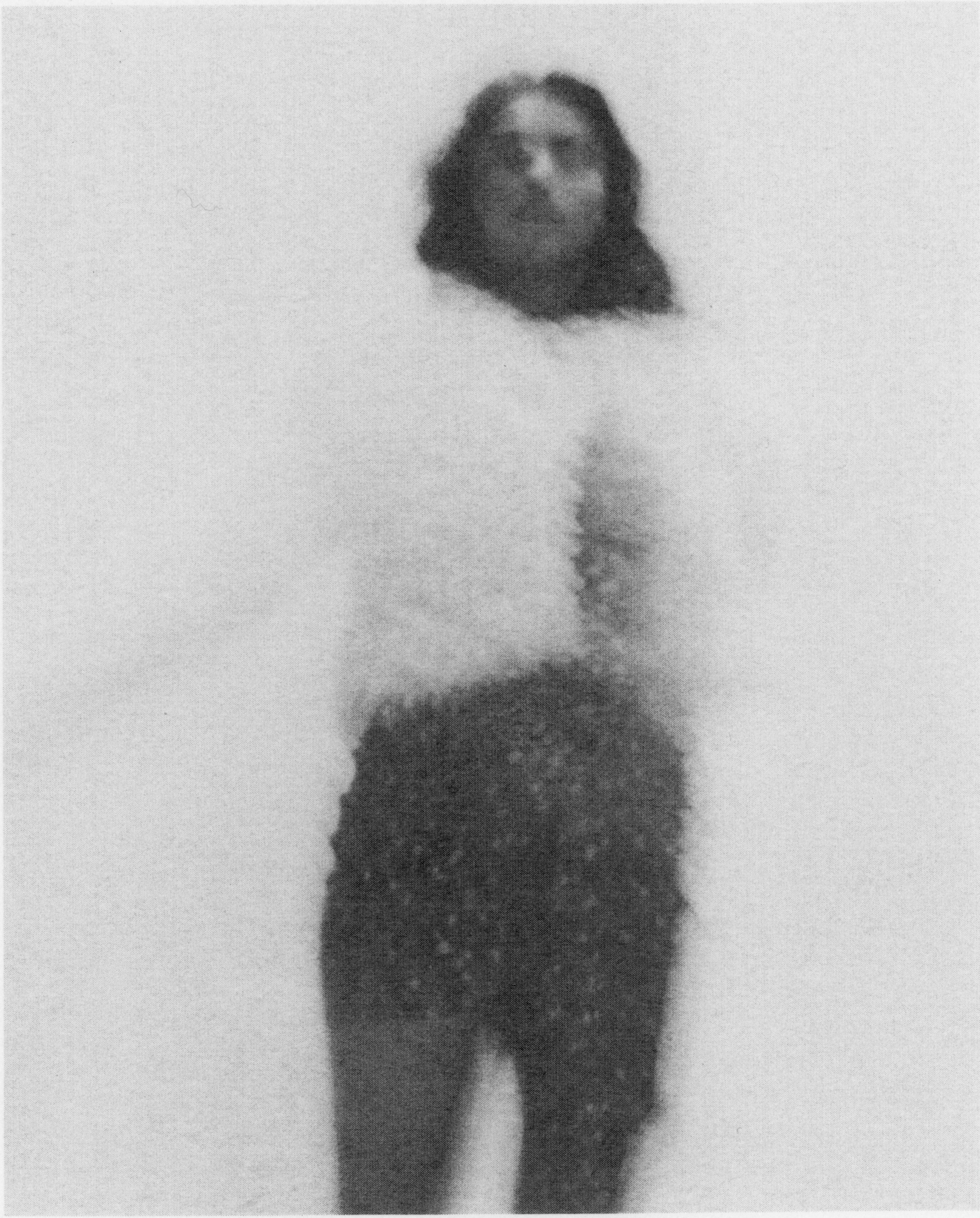 1 87.jpg