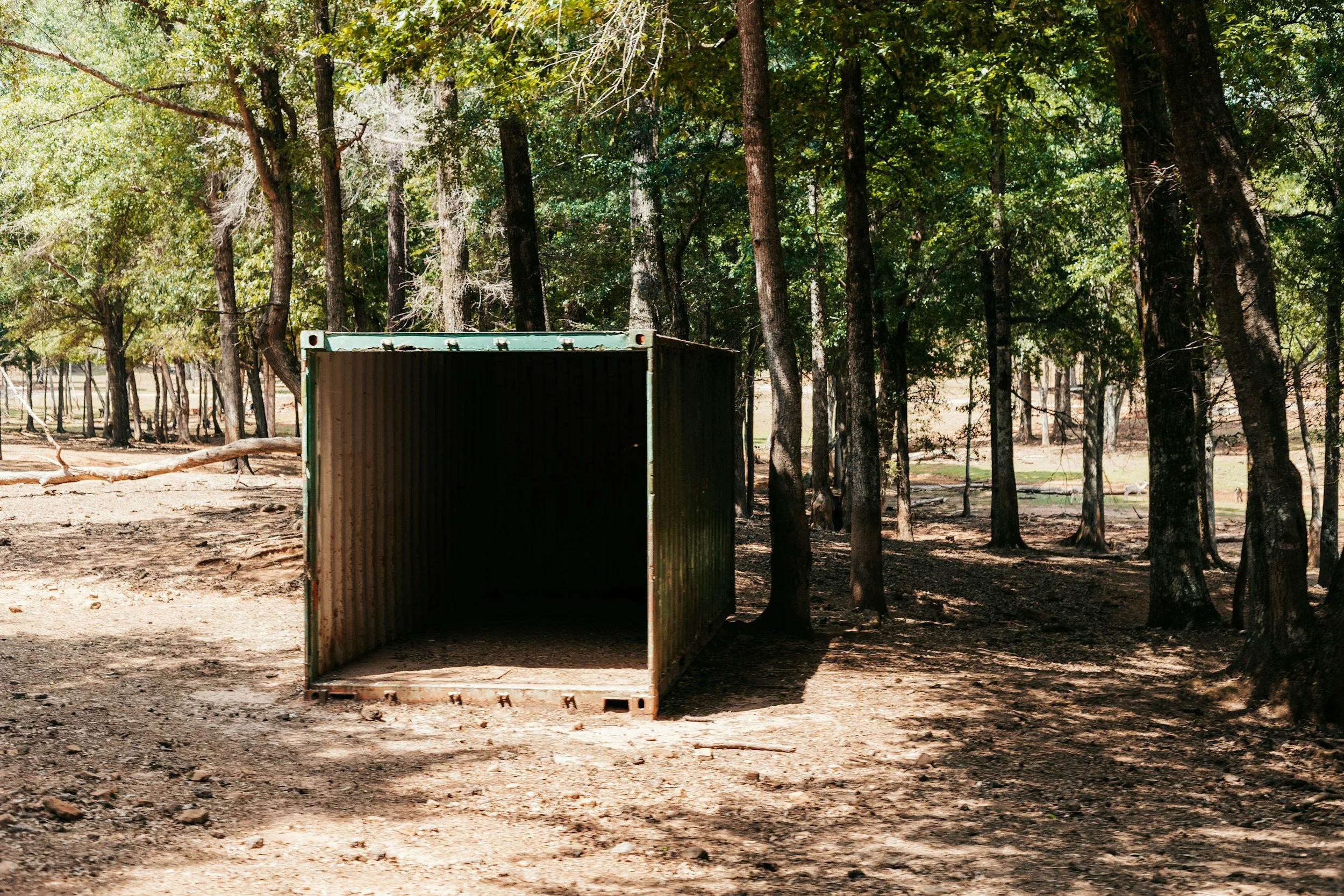 green cargo container with open doors in the woods