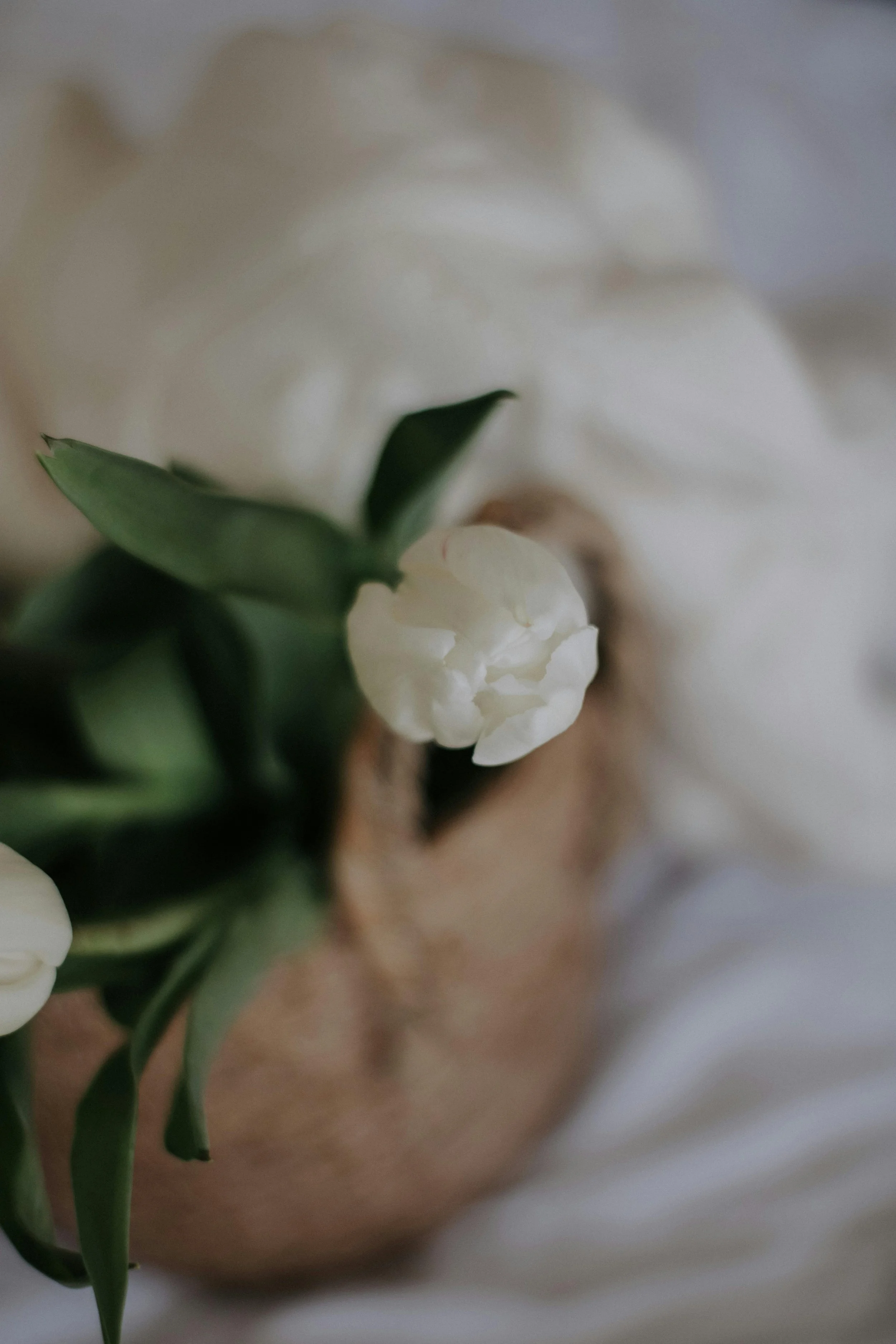 Photo Courtesy of Nati, Pexels